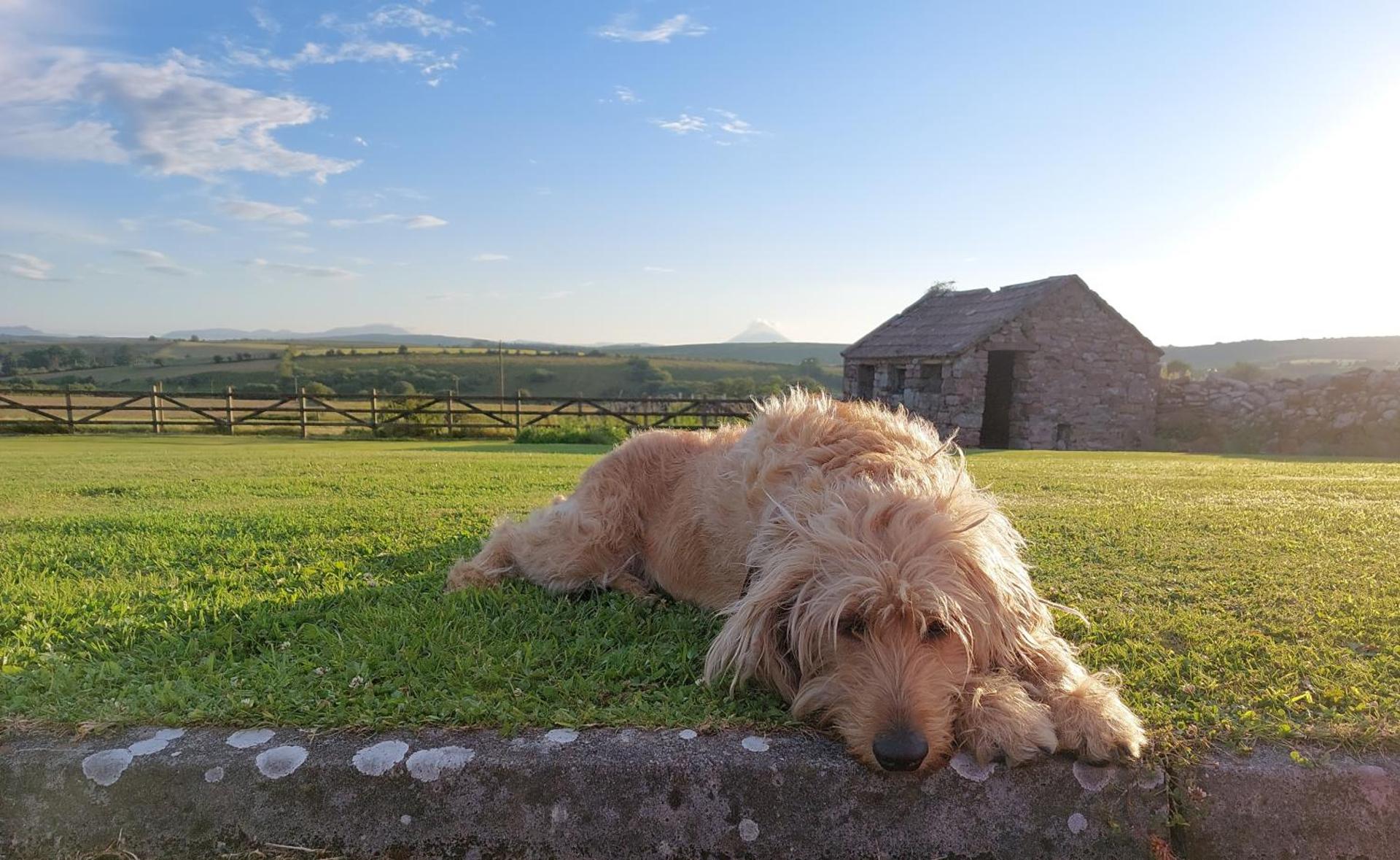 Helens Self Catering