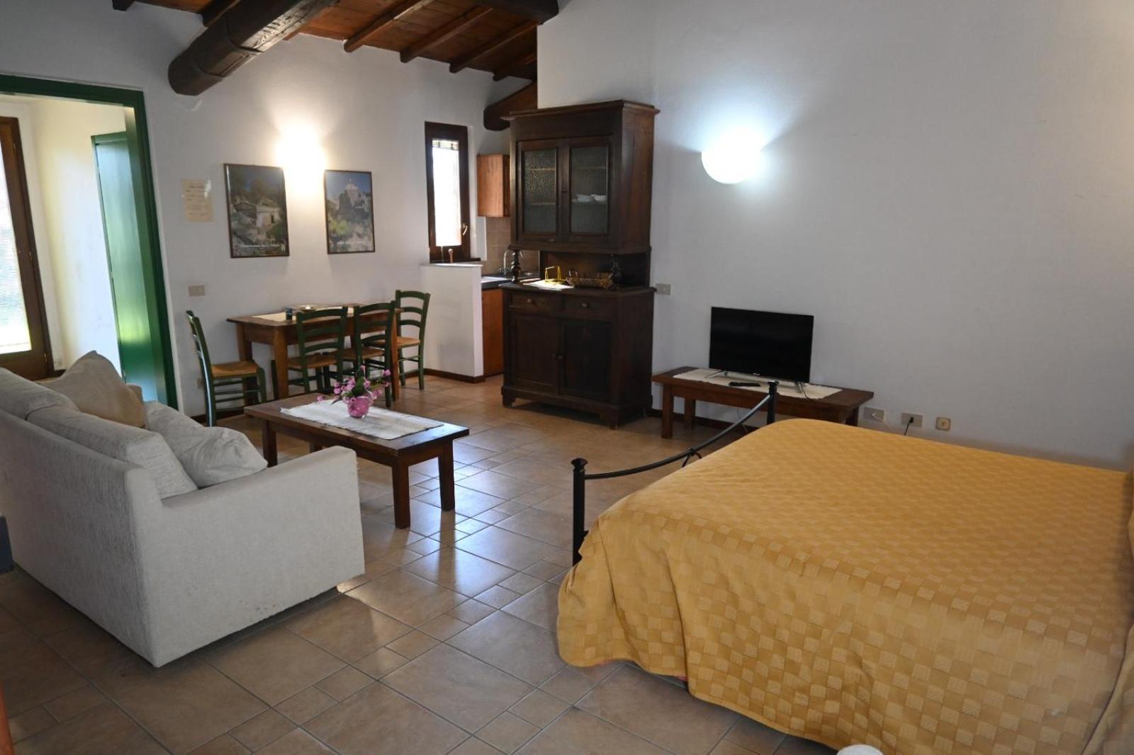 Studio - Disability Access