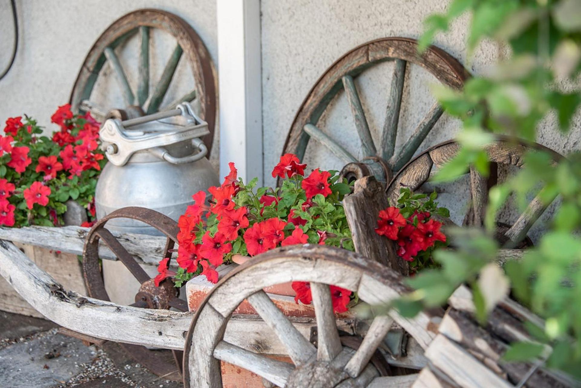 Oberglarzhof App Zirbel