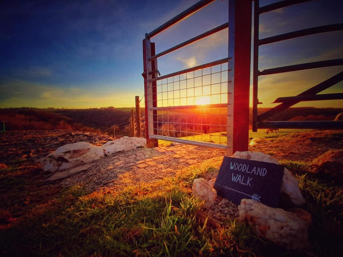 RURAL RETREAT WALES Indoor Hot Tub, Log Fire, Starry Skies, Woodland Walks