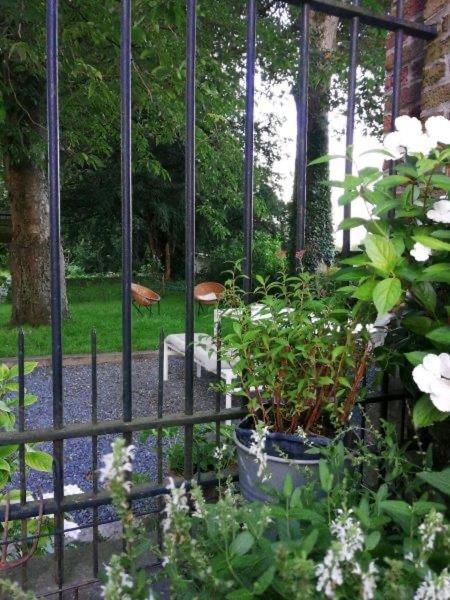 Cosy house in a charming village