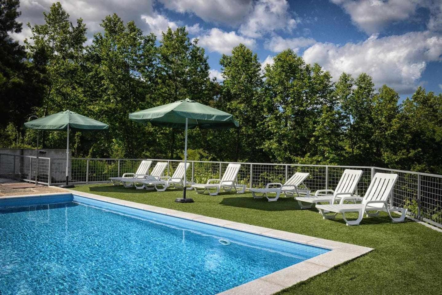 Casa de Barreiros Camélias de Basto