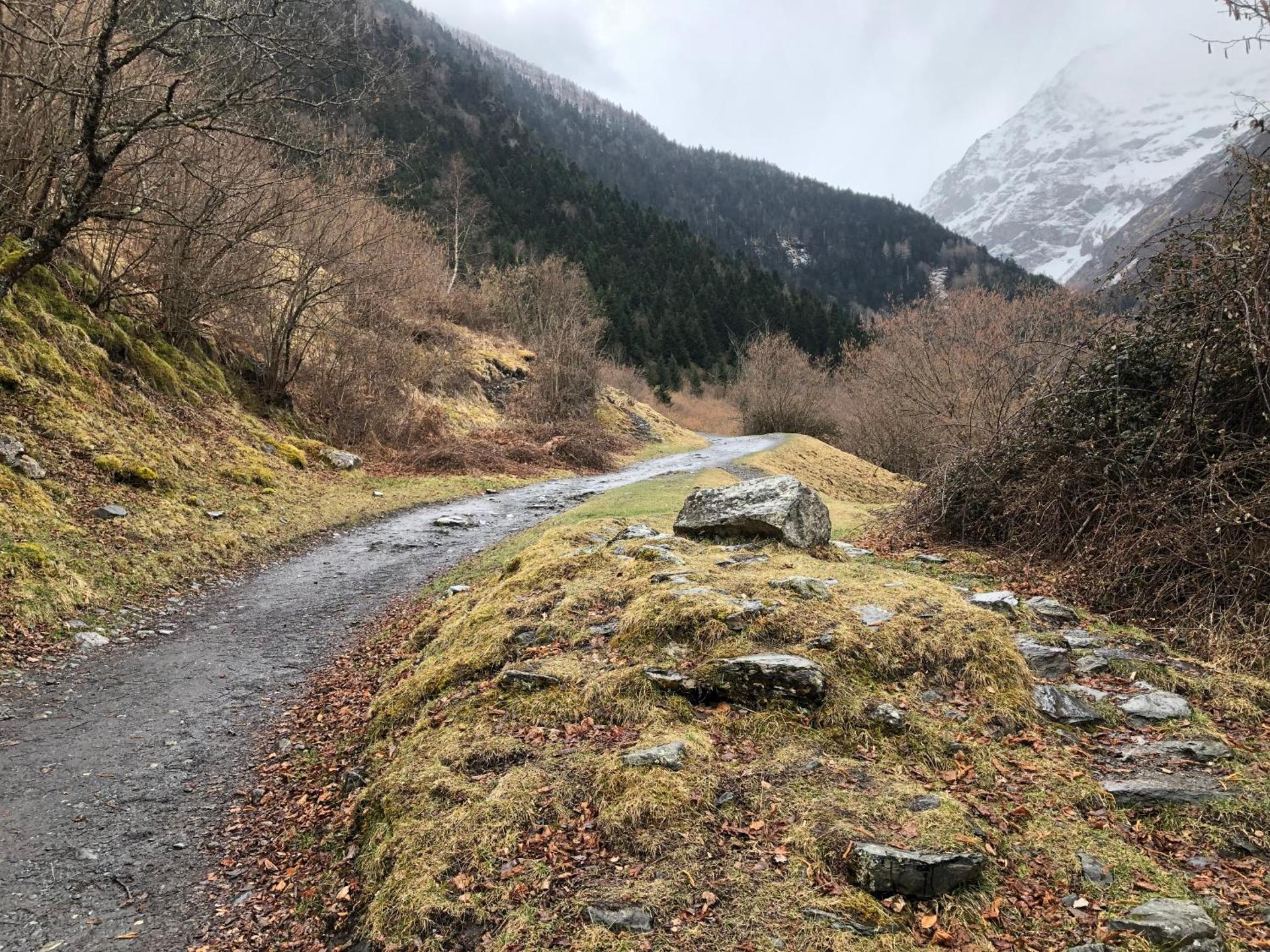 PRINCESSE DES NEIGES