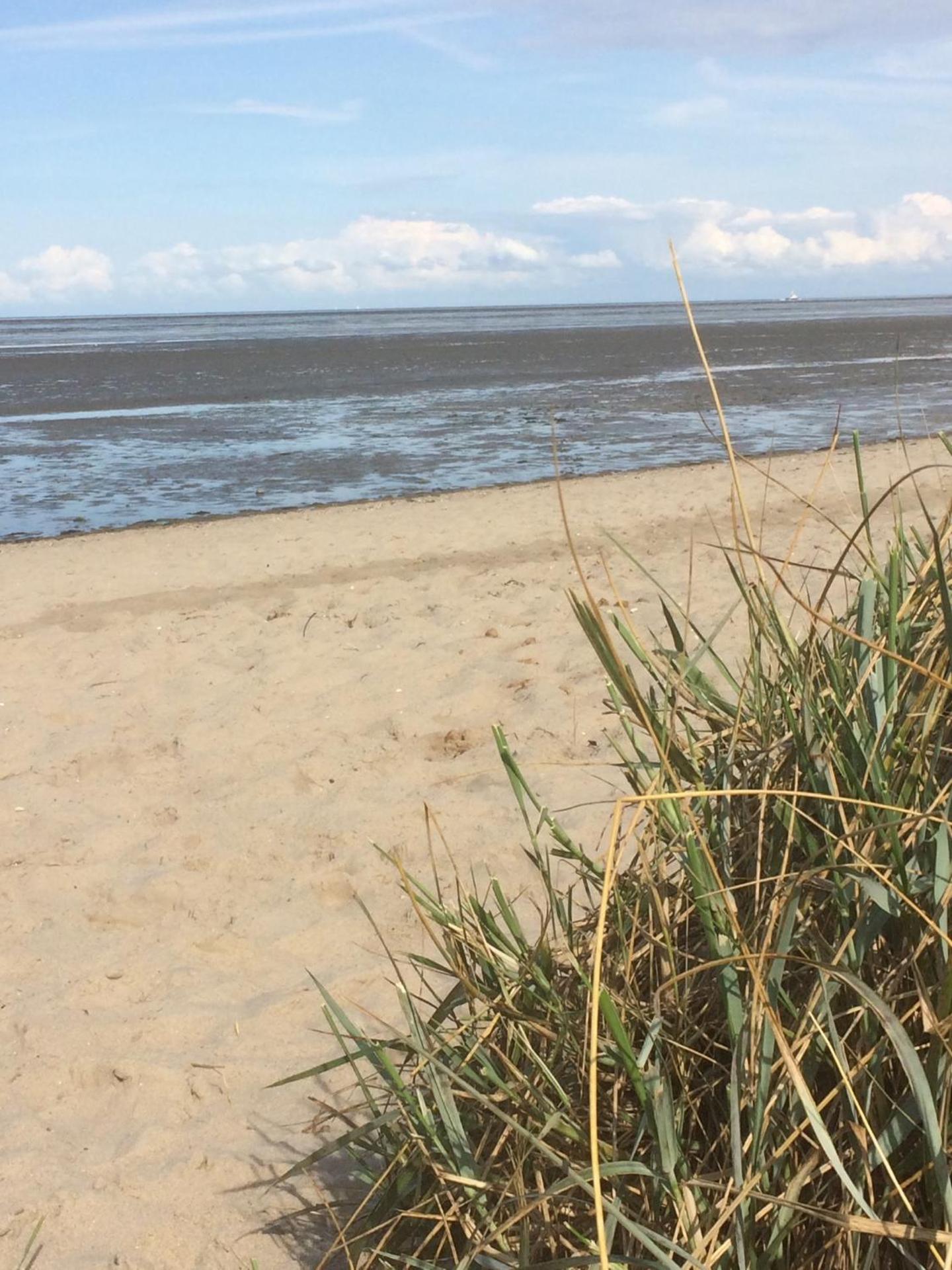 Ferienwohnung Harlequartier im Wikingerhof direkt an der Harle