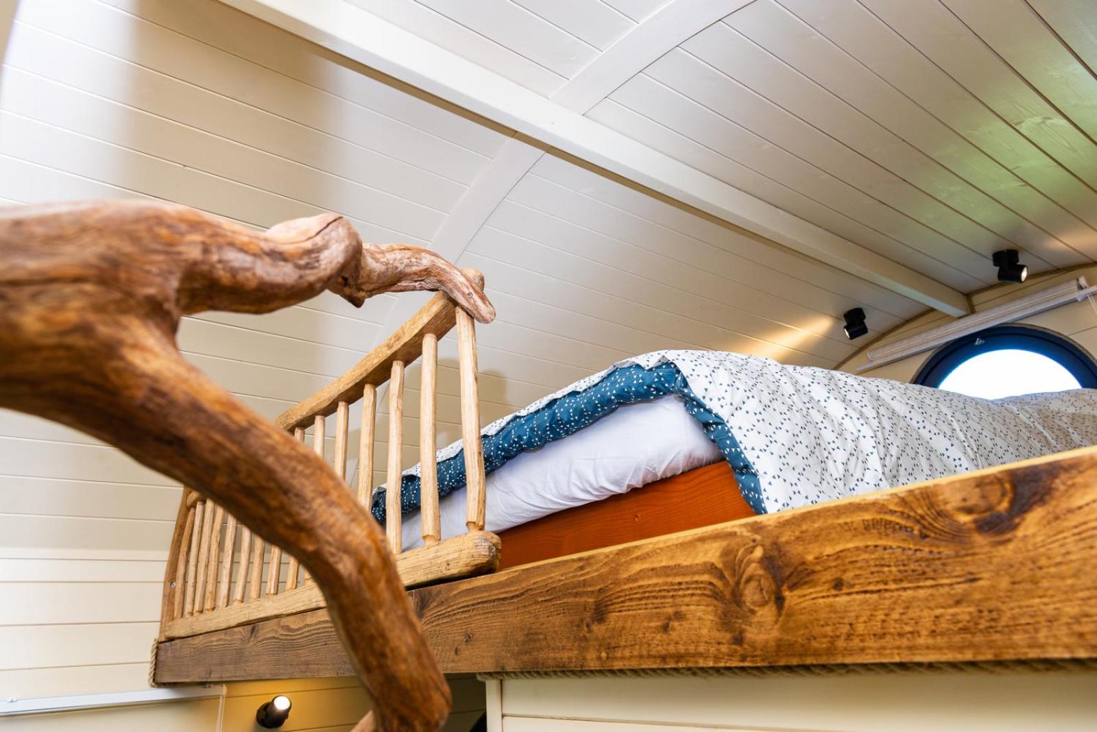 north fell under the stars