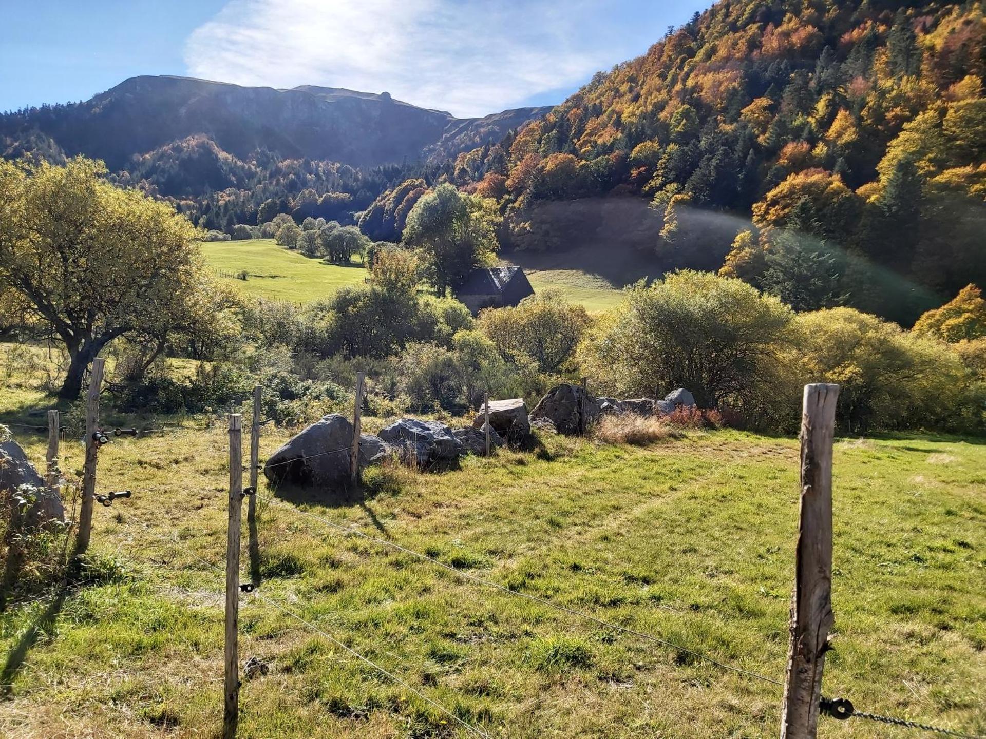 Studio 2 à 4 personnes avec garage privé