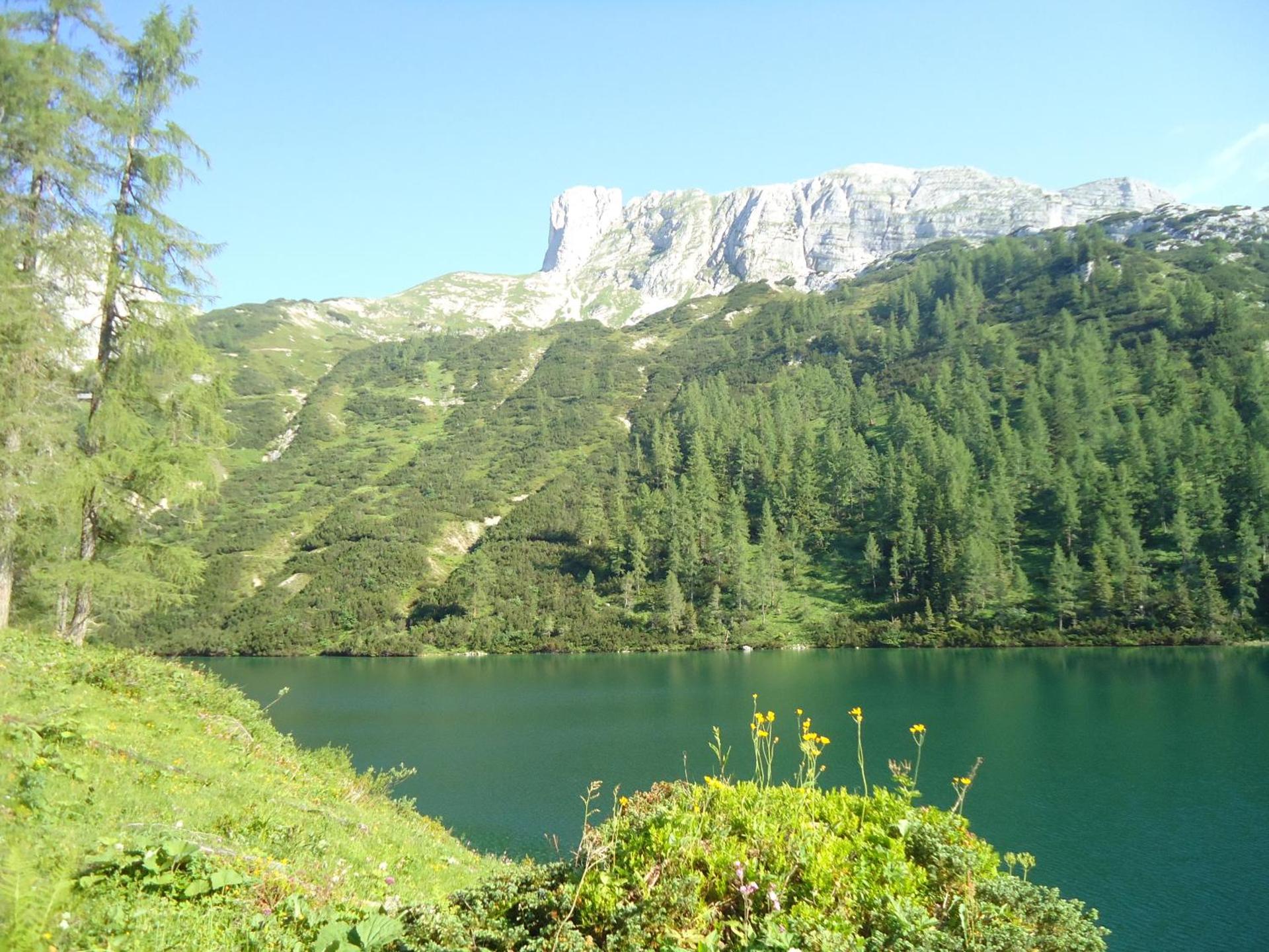 Ferienwohnung Hierzegger