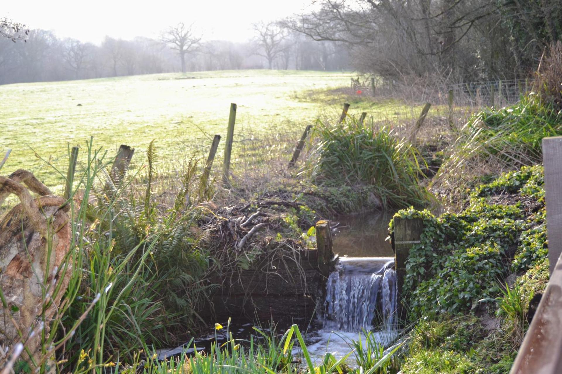 Arrowwood Self Catering (Wagtail and Nuthatch)
