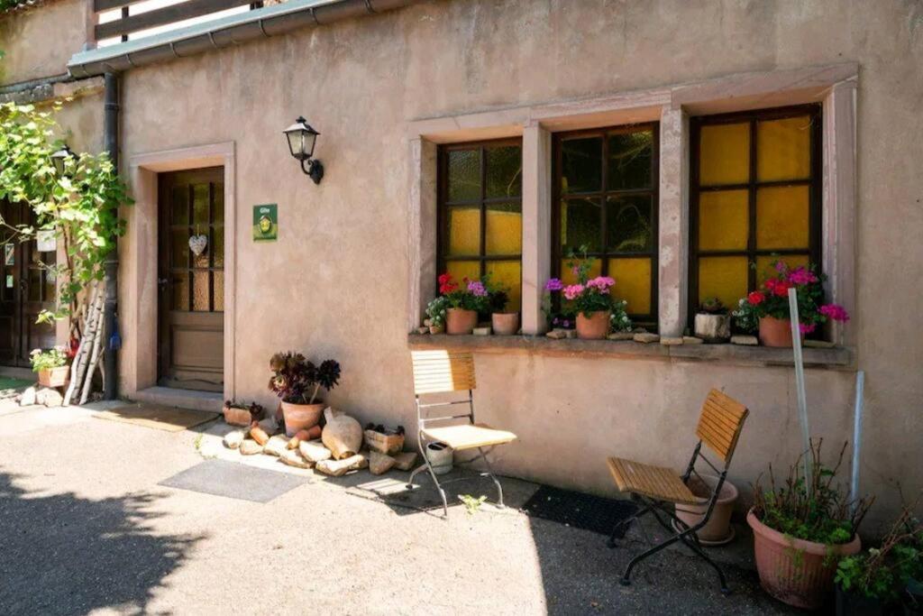 gîte l'œuf ou la poule, parking privé, sur domaine viticole