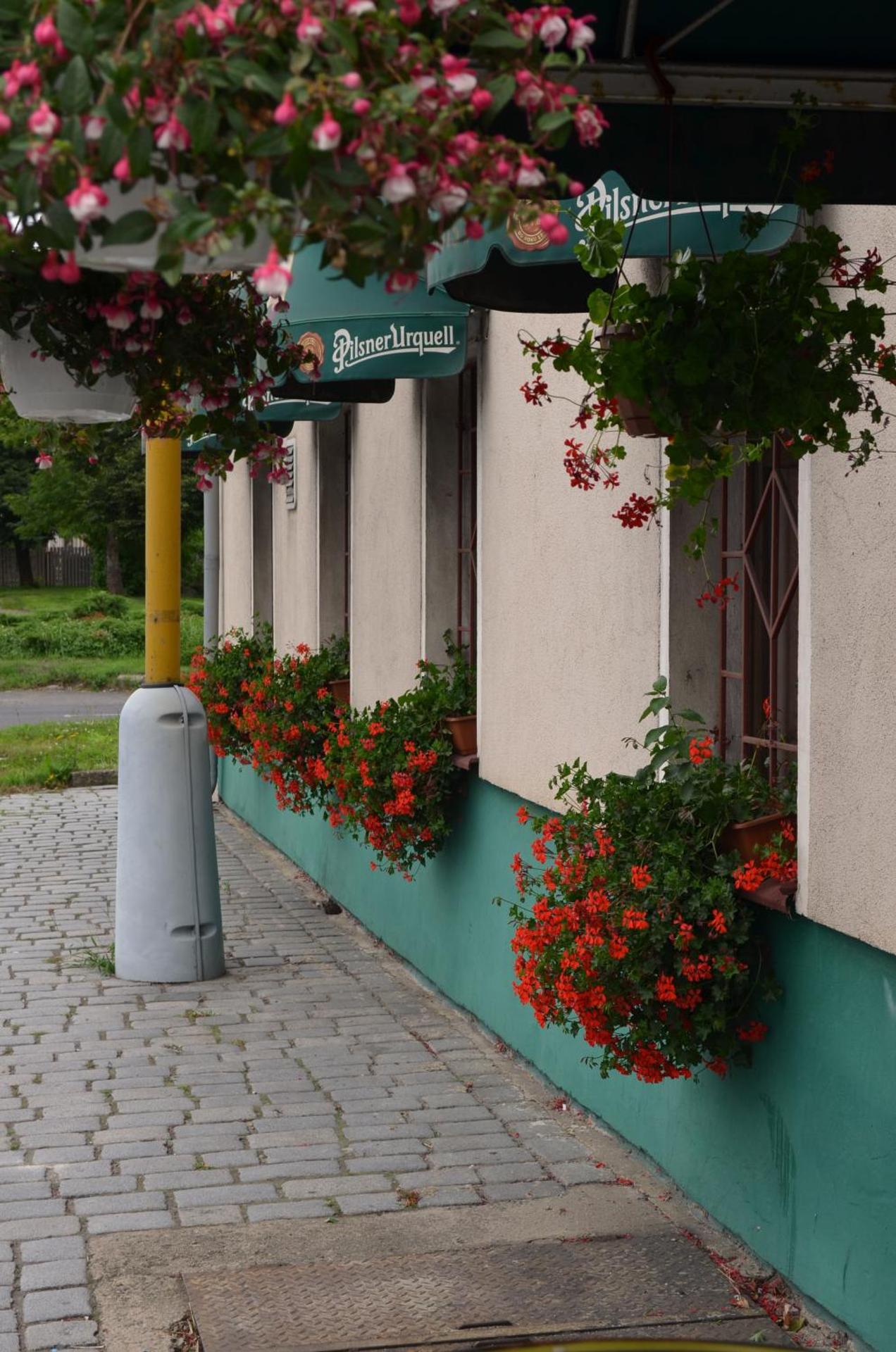 Motorest Penzion na Bojišti