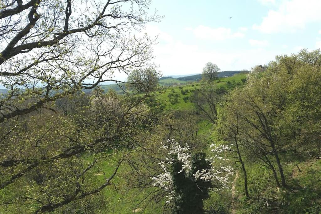 Studio Les Cadichons de la Grange