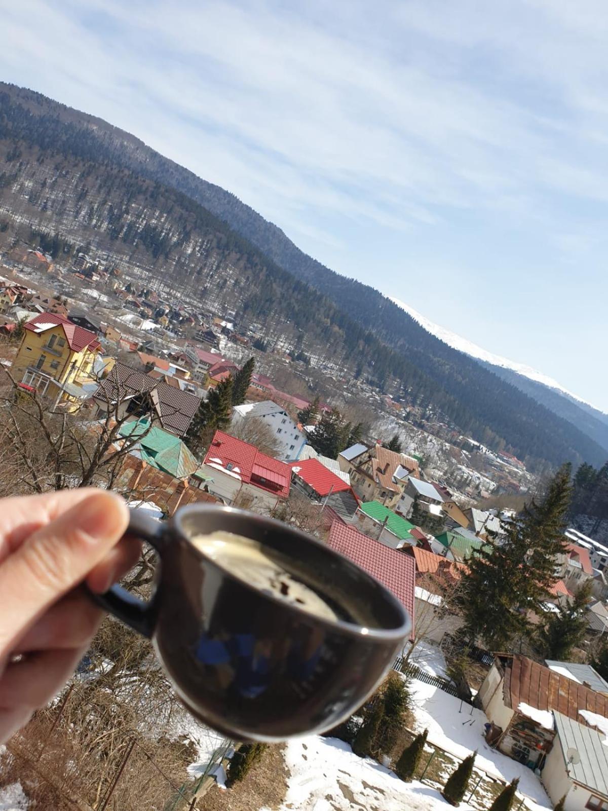 Vila PANORAMIC Busteni