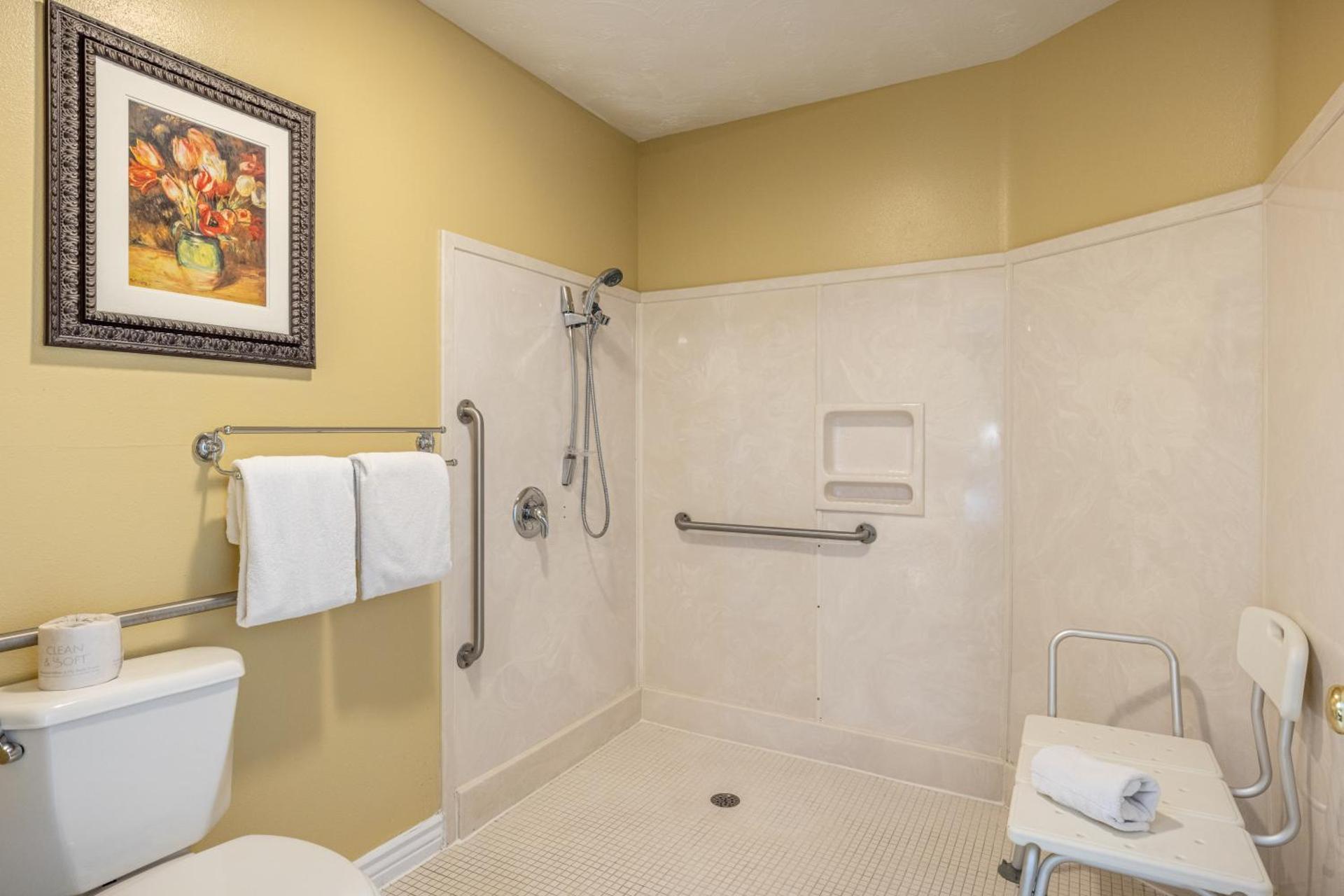 Deluxe King Room - Accessible - No pets