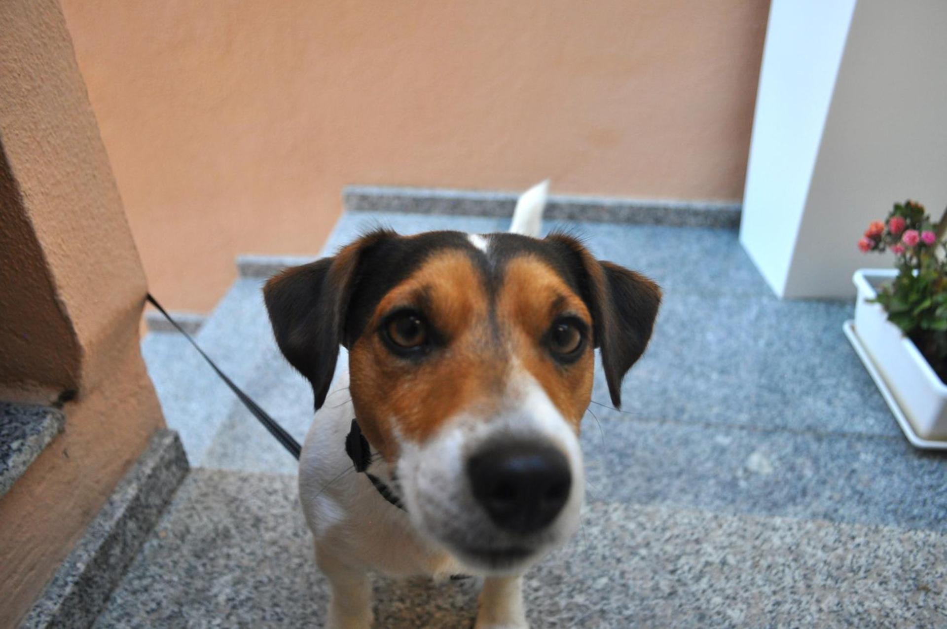 Rosa dei Venti Affittacamere