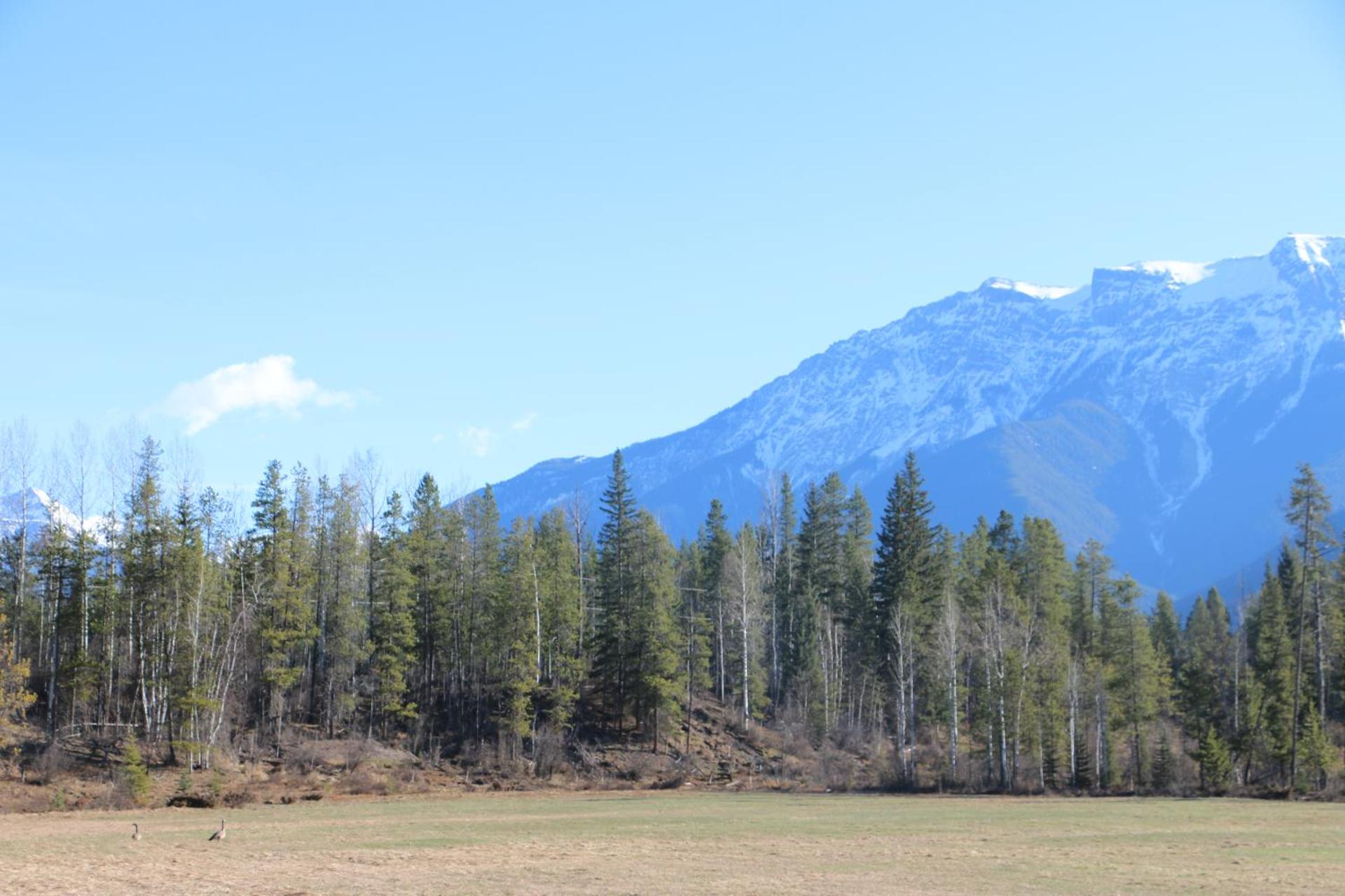 Rocky Mountain Cabins and Home