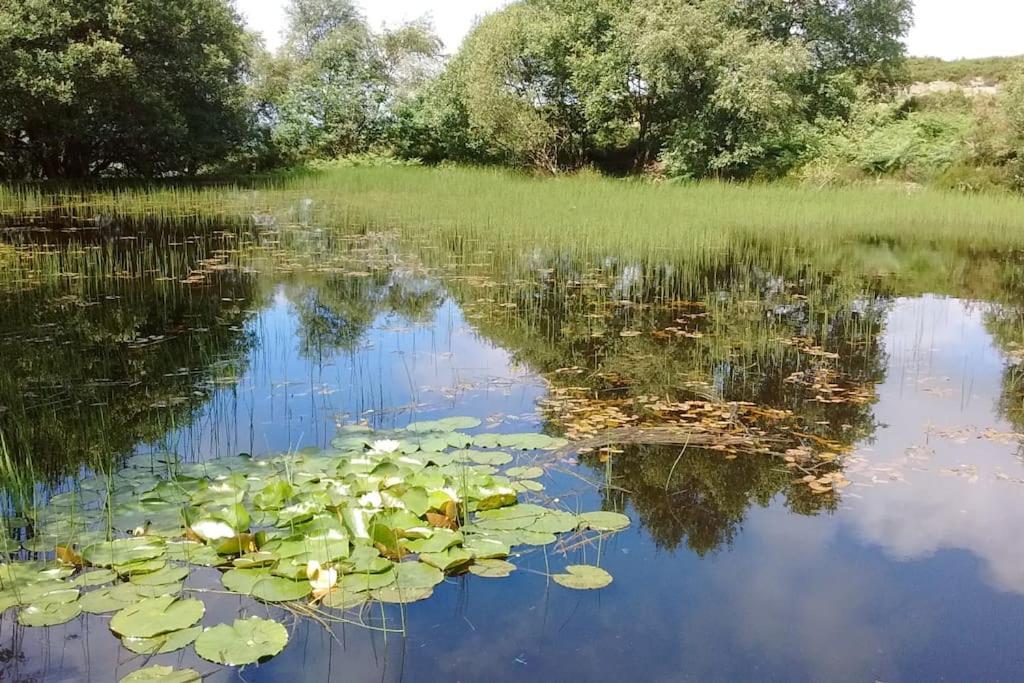 Ty Hen - Quirky Grade II Listed Cottage