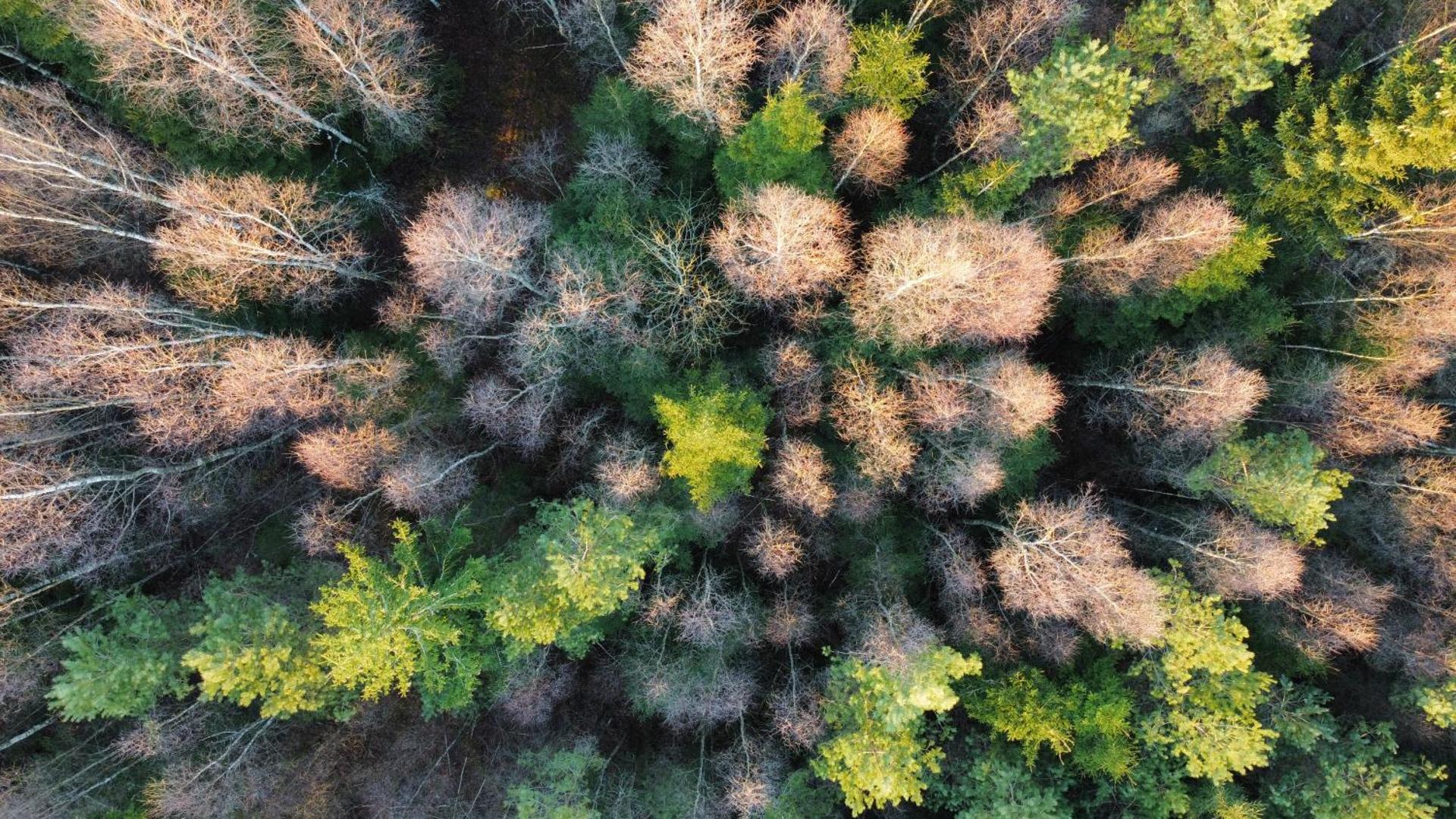 Mysig och modern Stuga på Snögård, nära havet och naturen