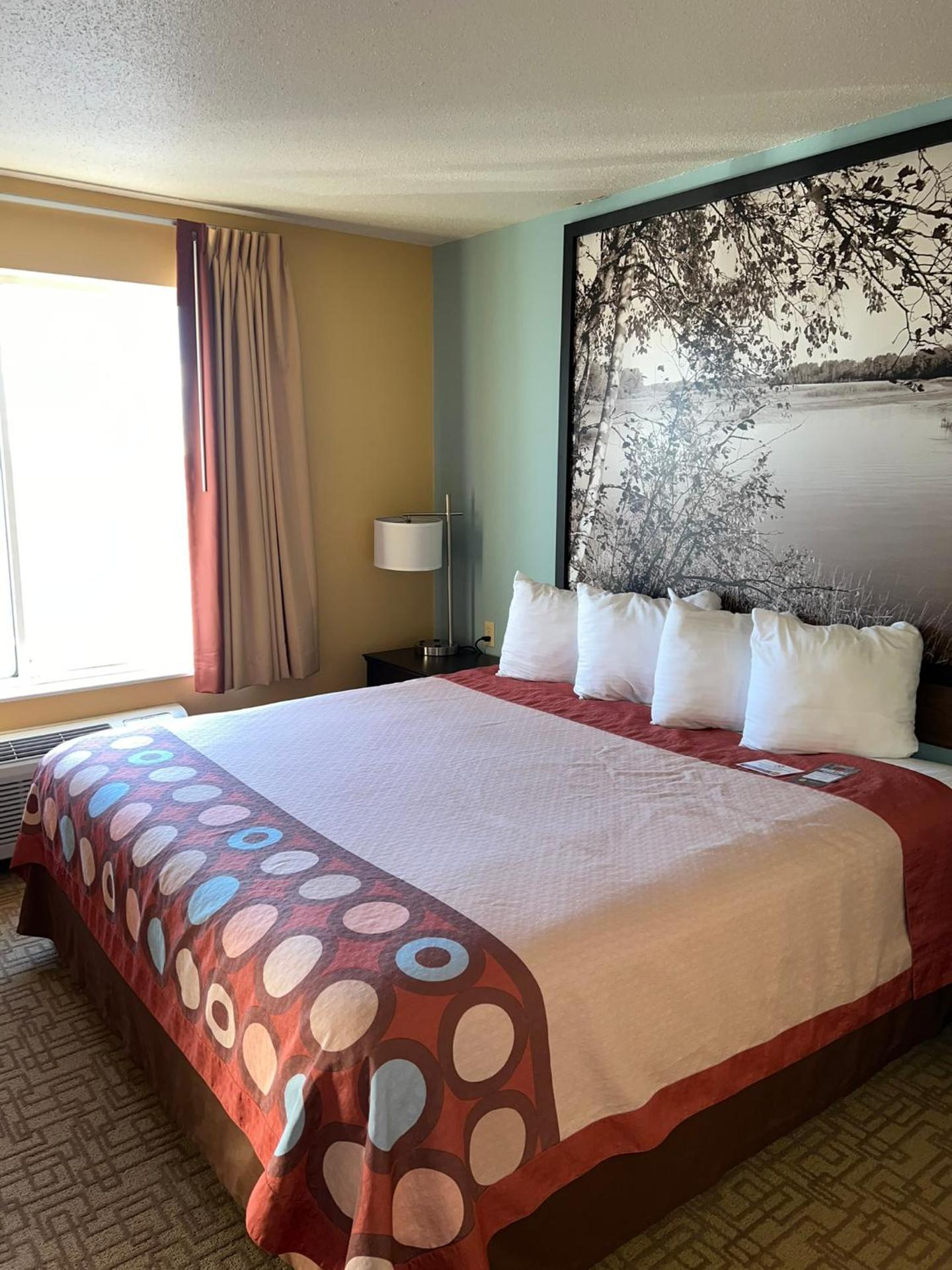 King Studio Suite with Sofa Bed and Kitchenette - Non-Smoking