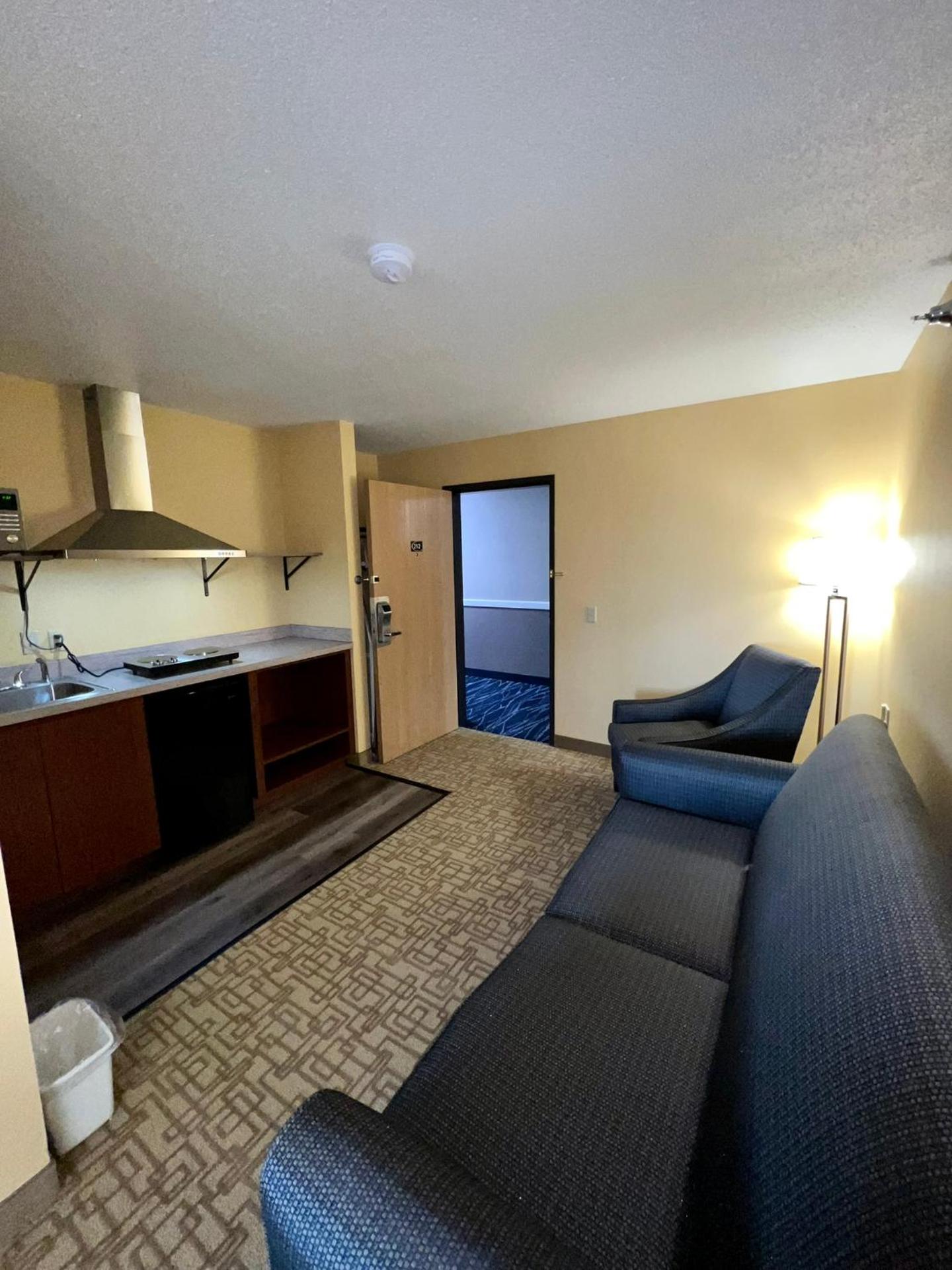 King Studio Suite with Sofa Bed and Kitchenette - Non-Smoking