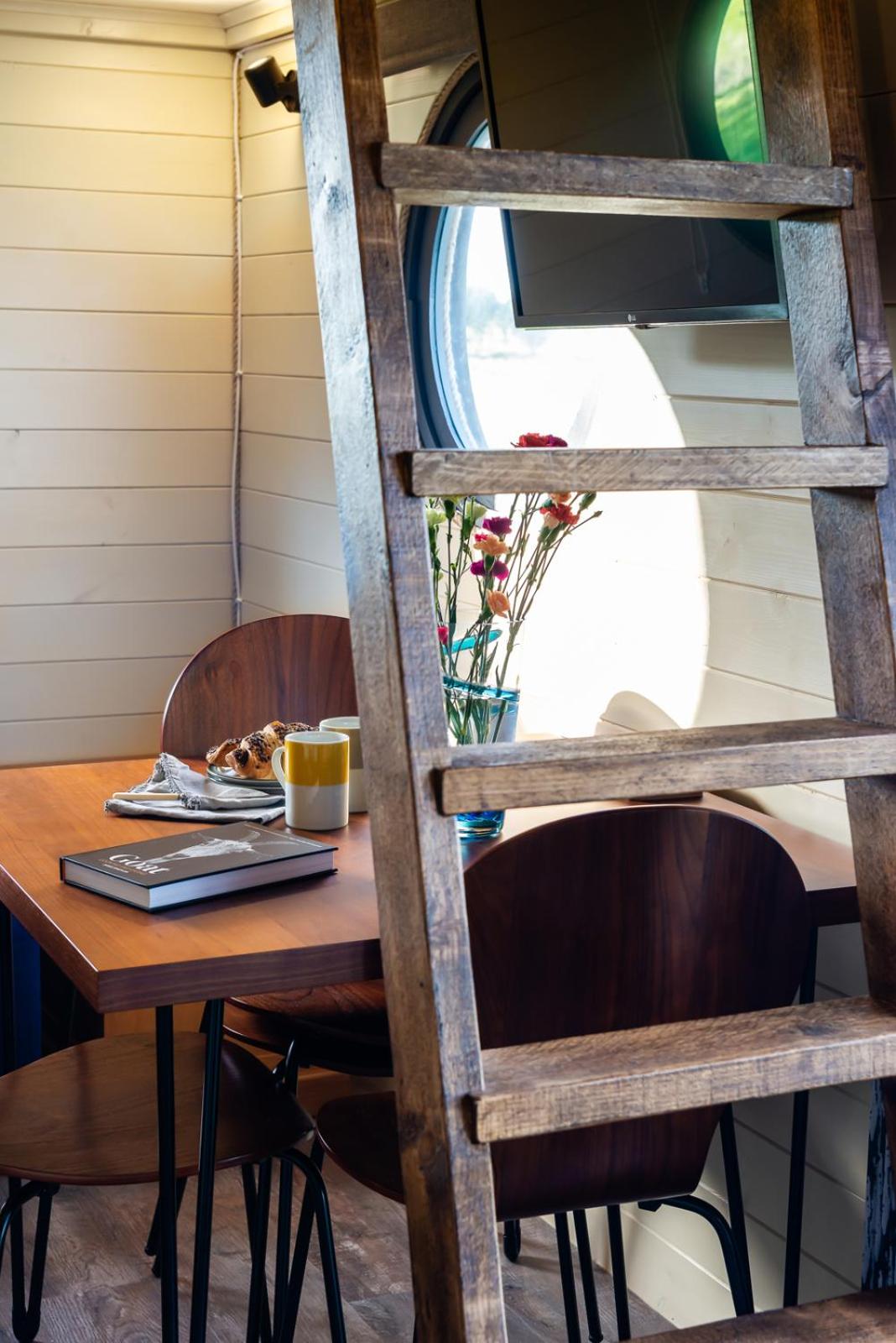 north fell under the stars