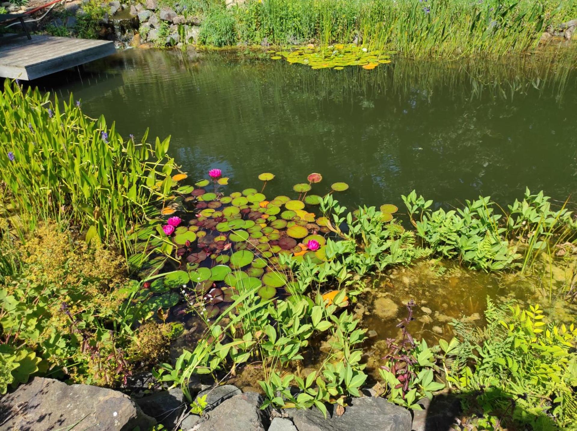 Suite Vorderrhön Anní