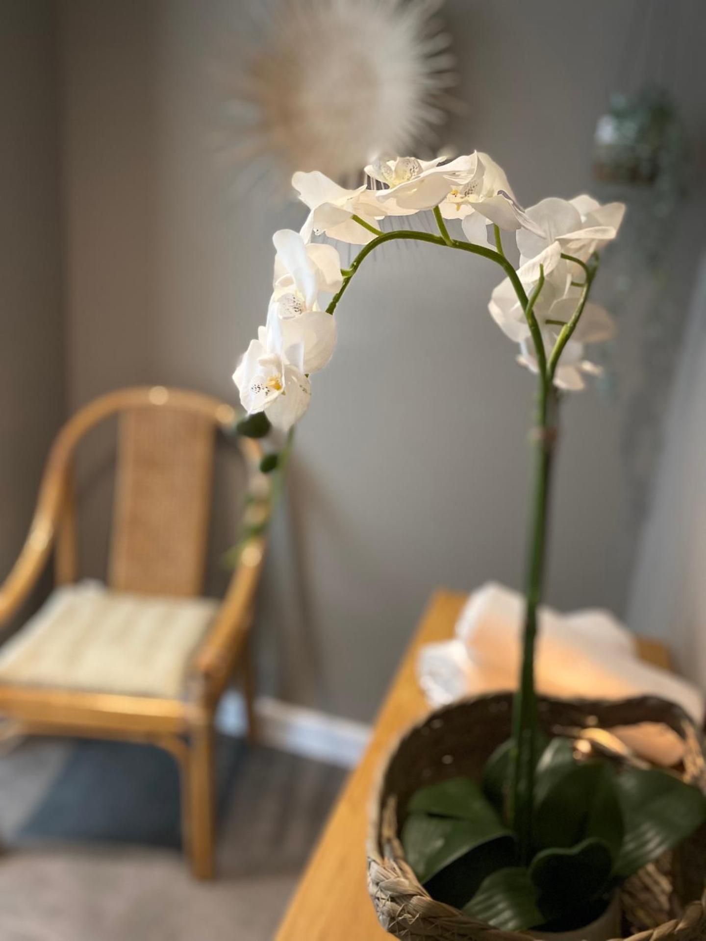 Une parenthèse à la Sarte (wellness)