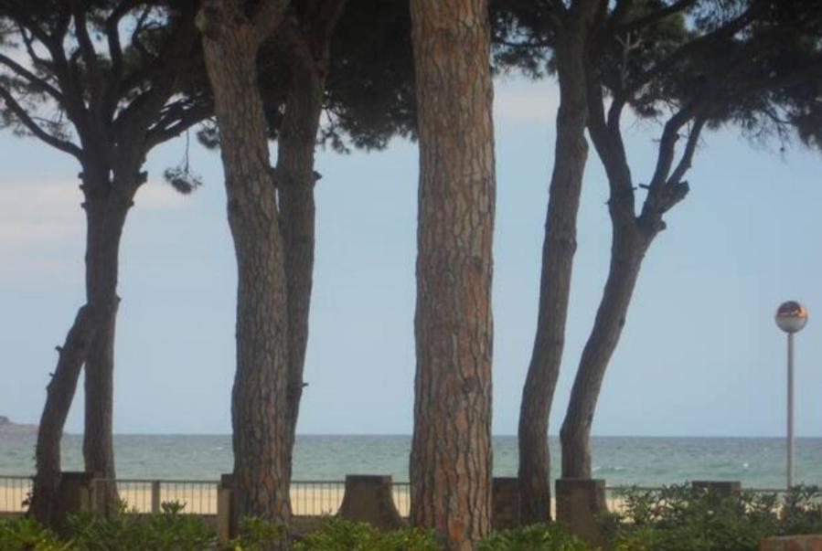 PRIMERA LINEA DE PLAYA VILAFORTUNY