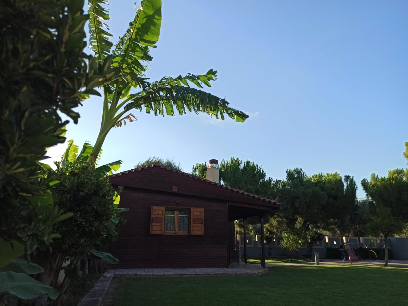 Aliki Guest House