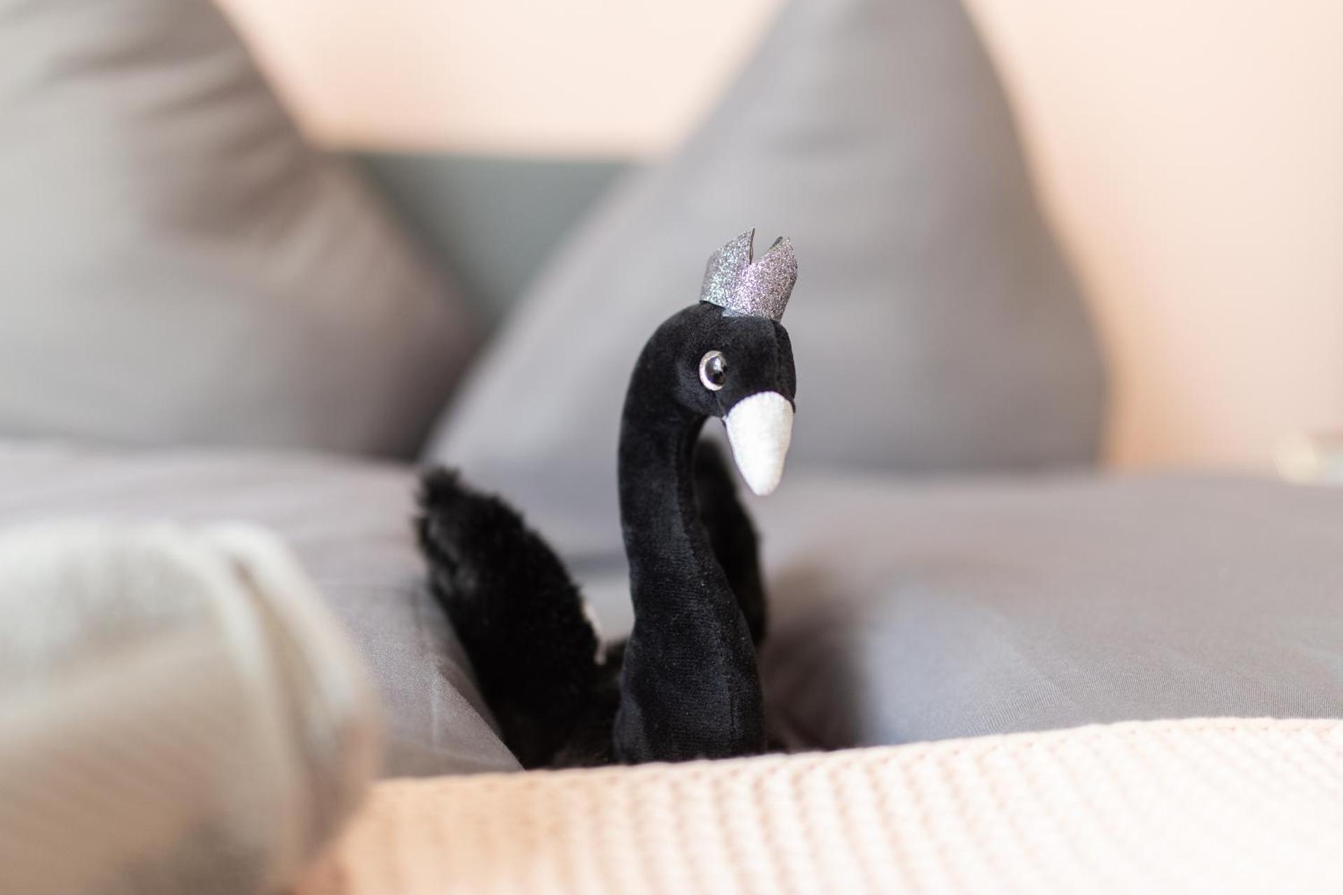 FullHouse - Zwickau - F45 Apartments - SmartTV - Nespresso