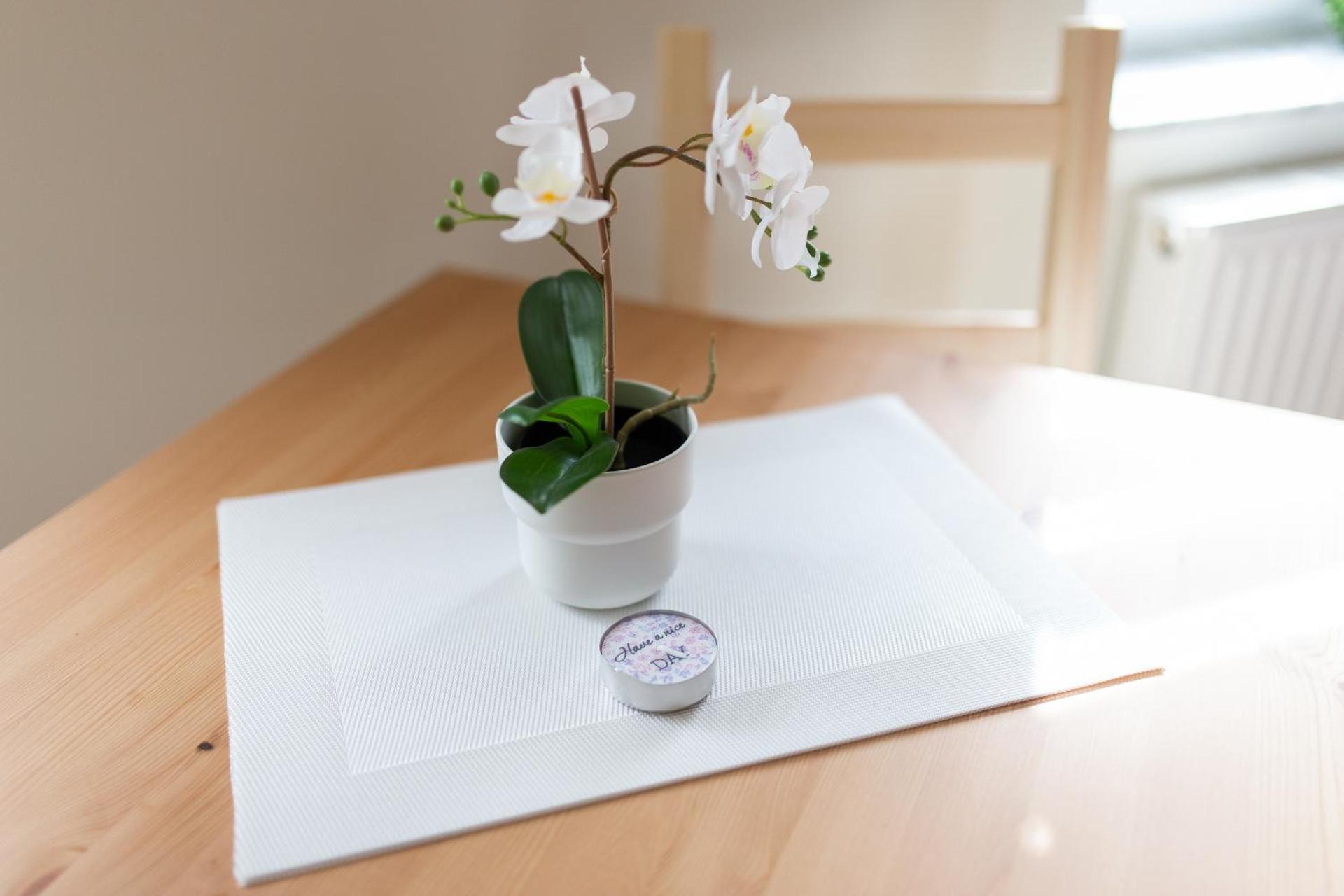 FullHouse - Zwickau - F45 Apartments - SmartTV - Nespresso