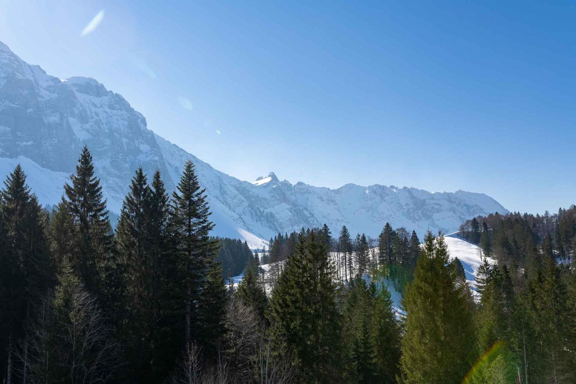 Säntisecho - in der Natur zu Hause