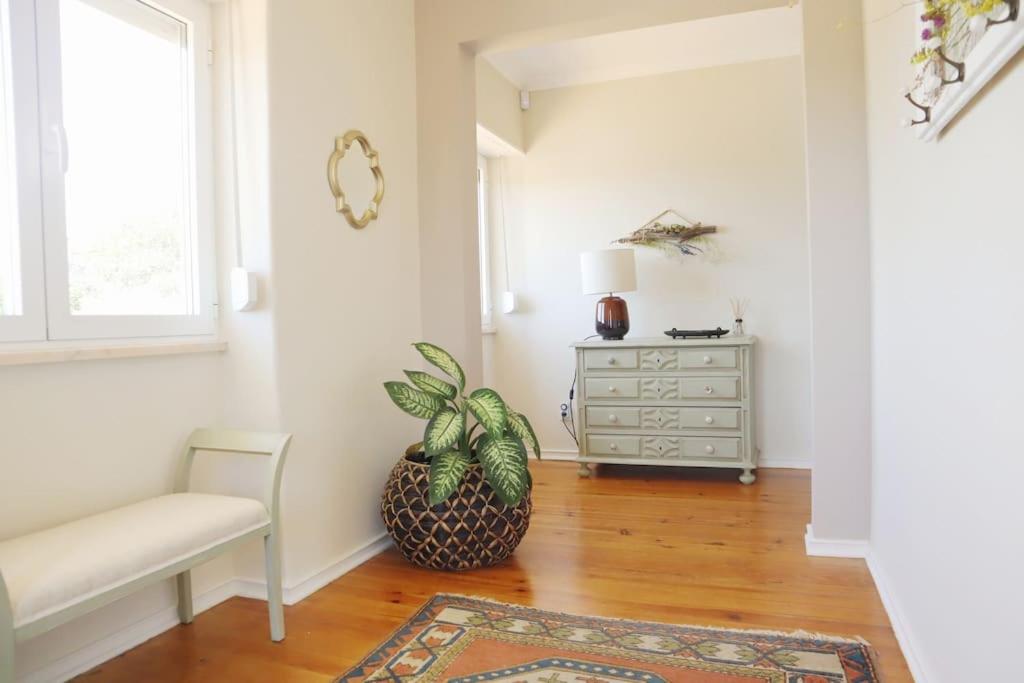 Casal de São José - Modern Country House