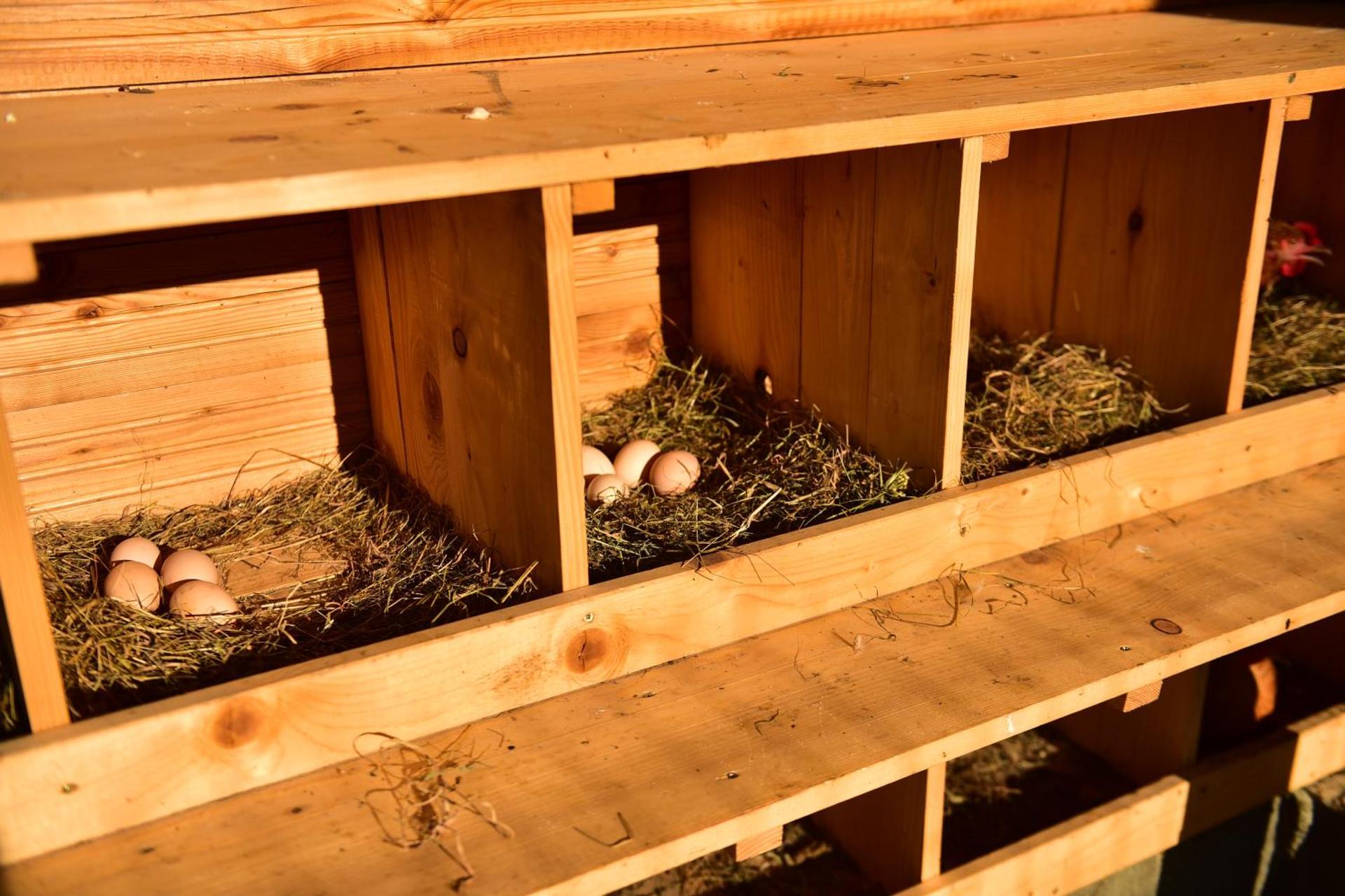 Natura Family Resort