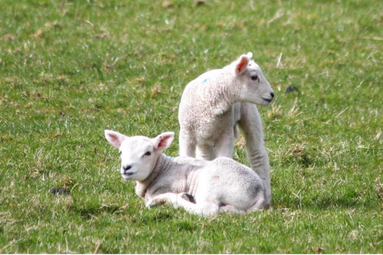 Spacious and bright 1 - bedroom rental unit