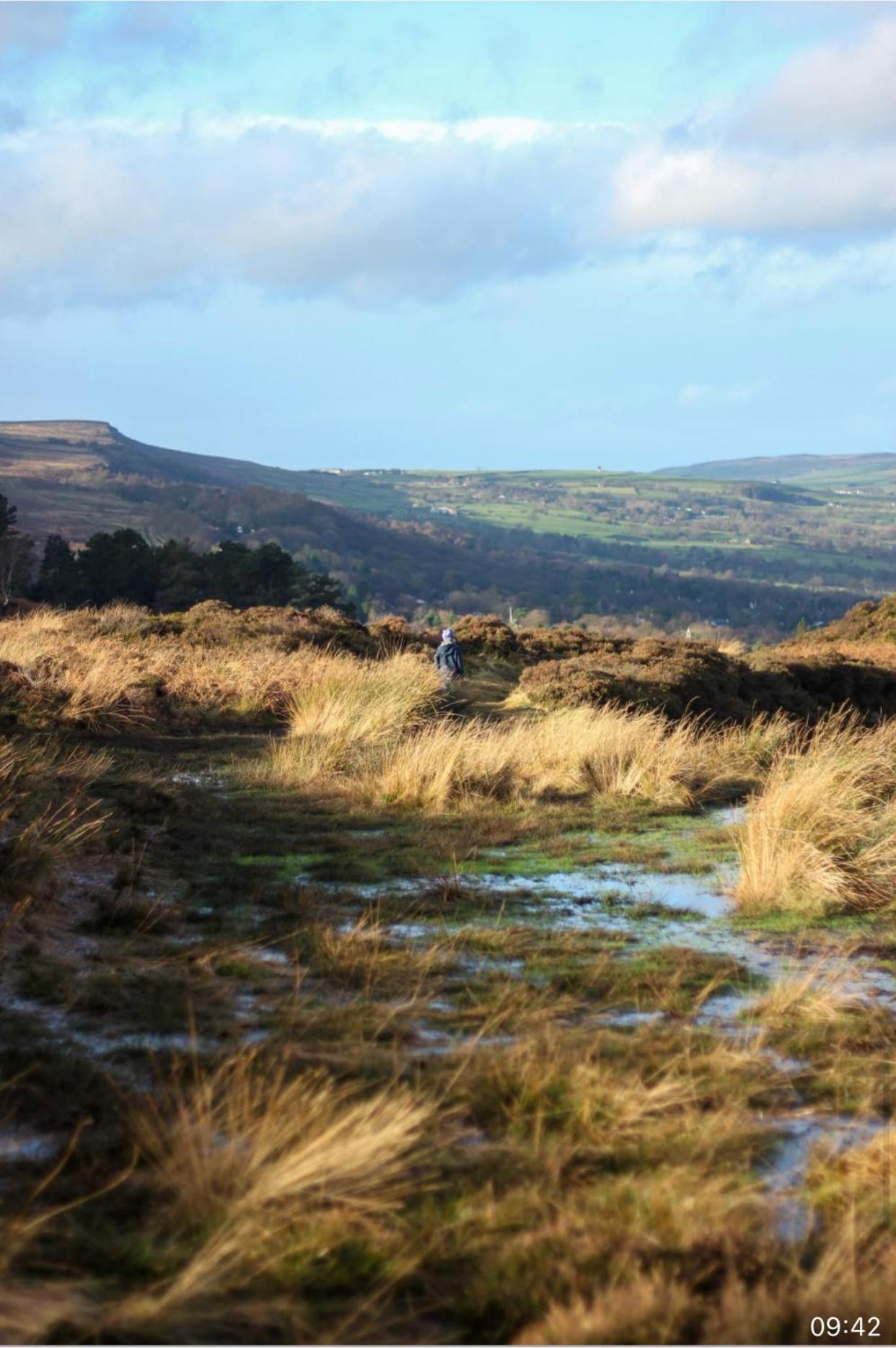 Spacious and bright 1 - bedroom rental unit