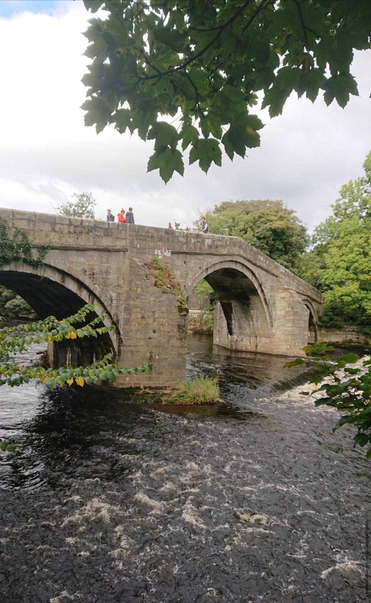 Spacious and bright 1 - bedroom rental unit