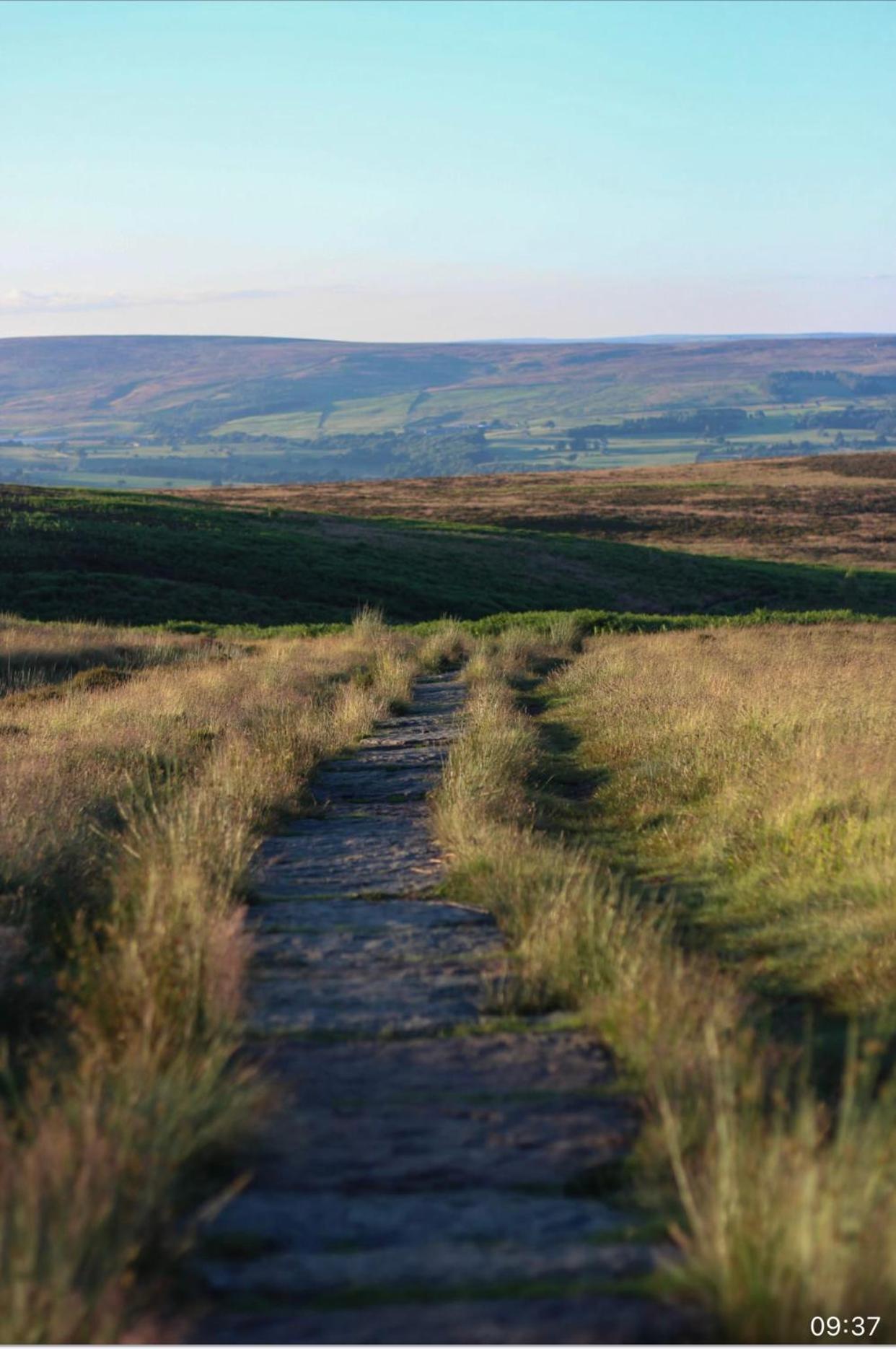 Spacious and bright 1 - bedroom rental unit