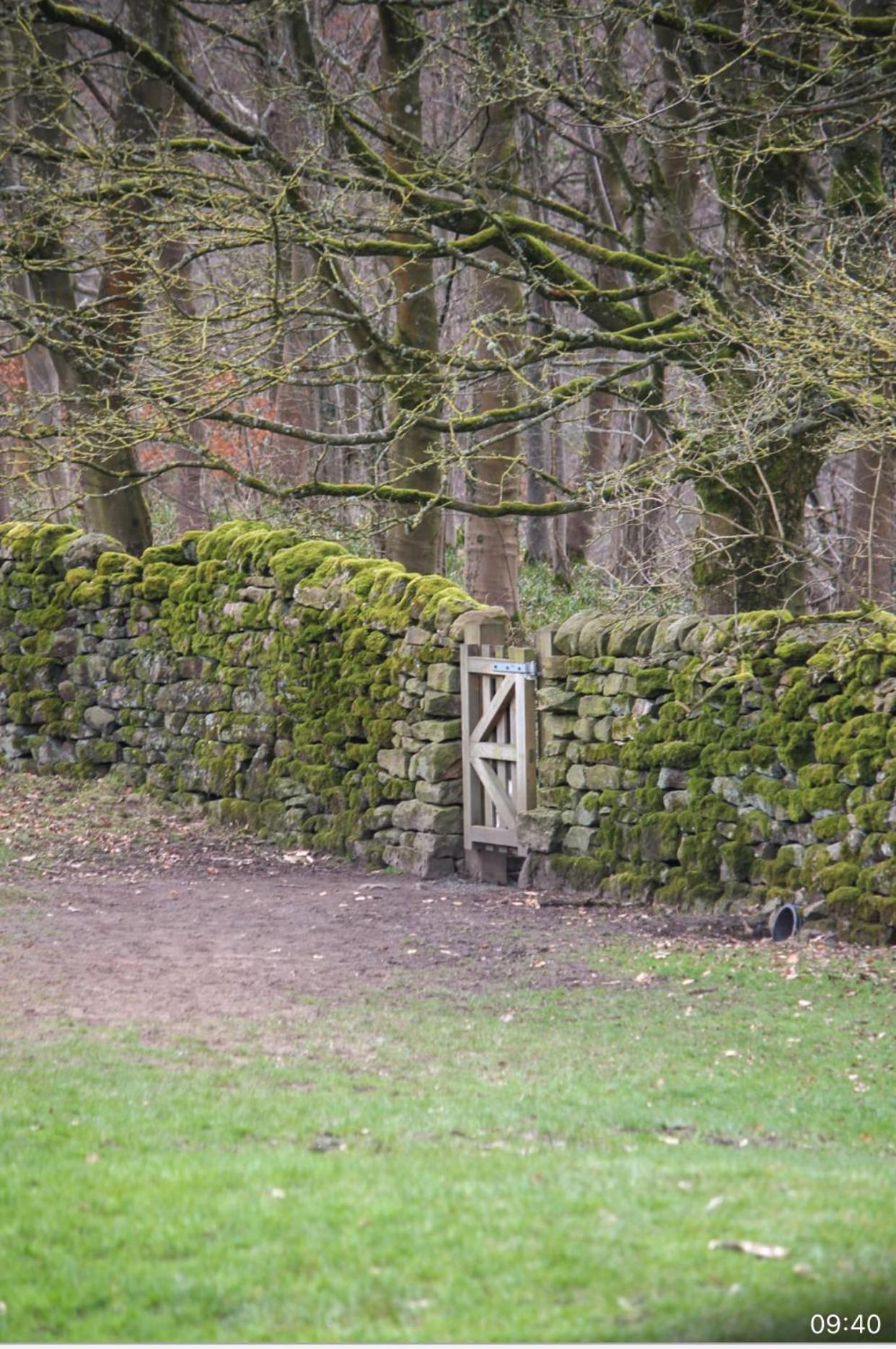 Spacious and bright 1 - bedroom rental unit