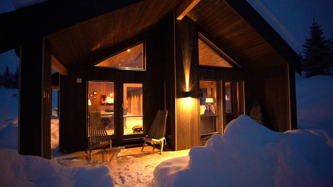 Unique cabin with fantastic lake view, sauna, ski & EV outlet