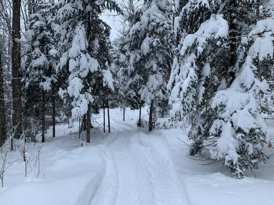 Chalet le Huard directement au bord du lac