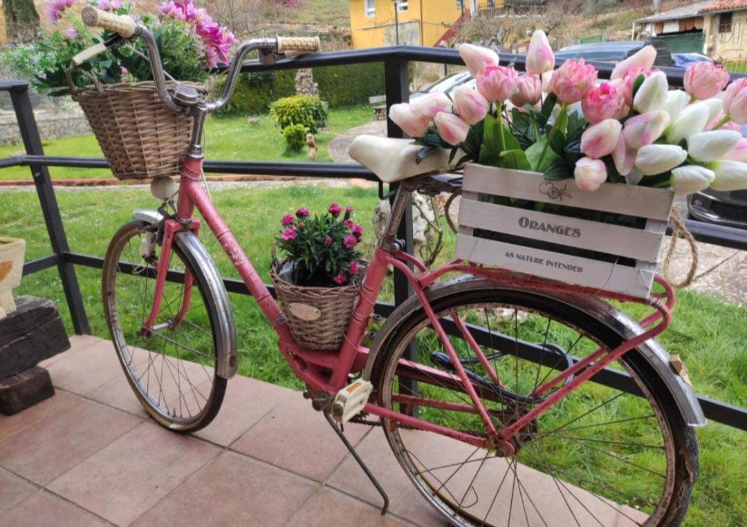 Hotel Rural en Las Cascadas de Tobera