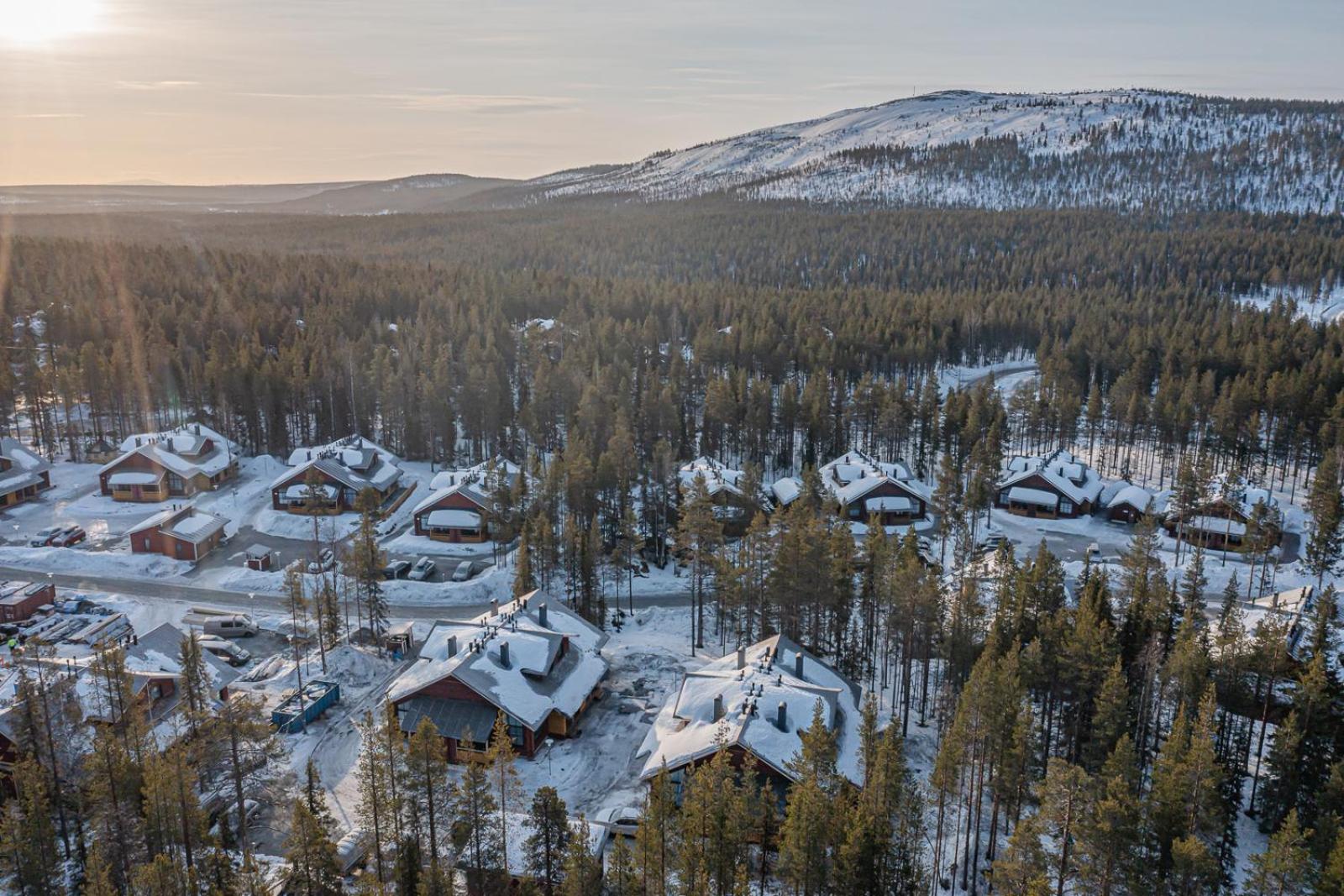 Levillas Sointuilevi 6A41