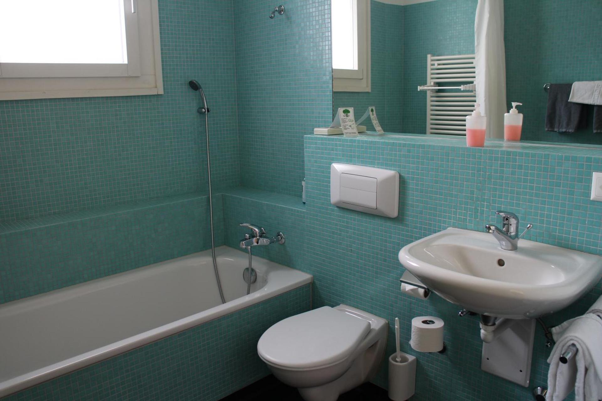 Seminar-Hotel Rigi am See