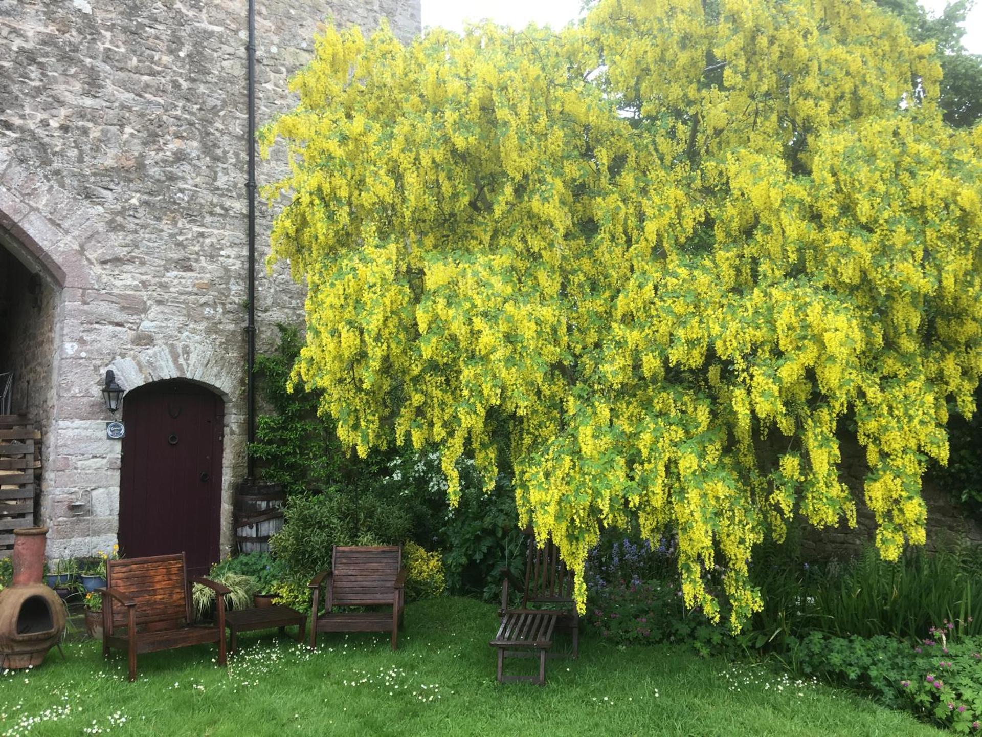 Welsh Gatehouse, Historic Castle which can cater for Electric Vehicle