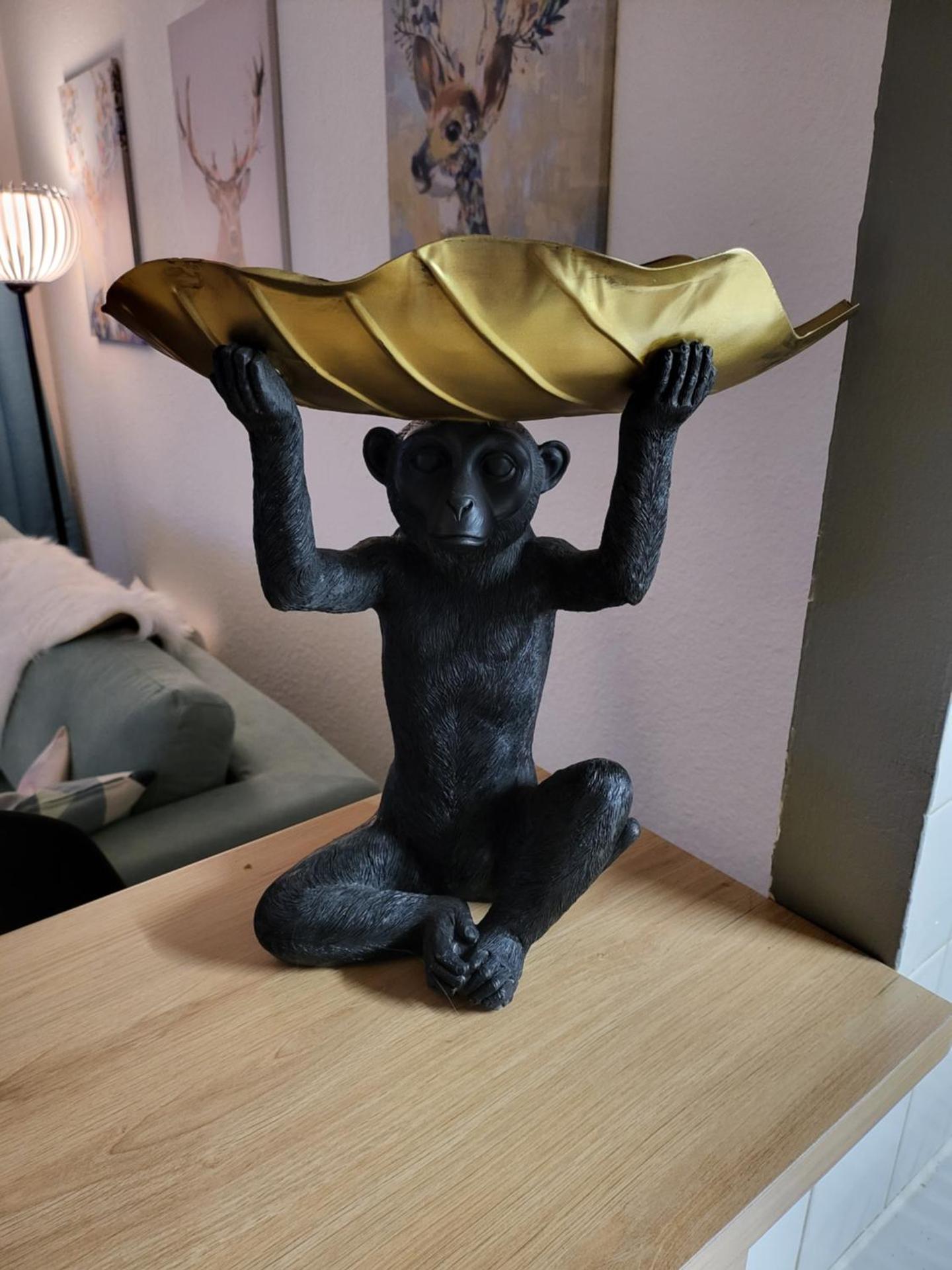 Appartement centre ville chic et cozy