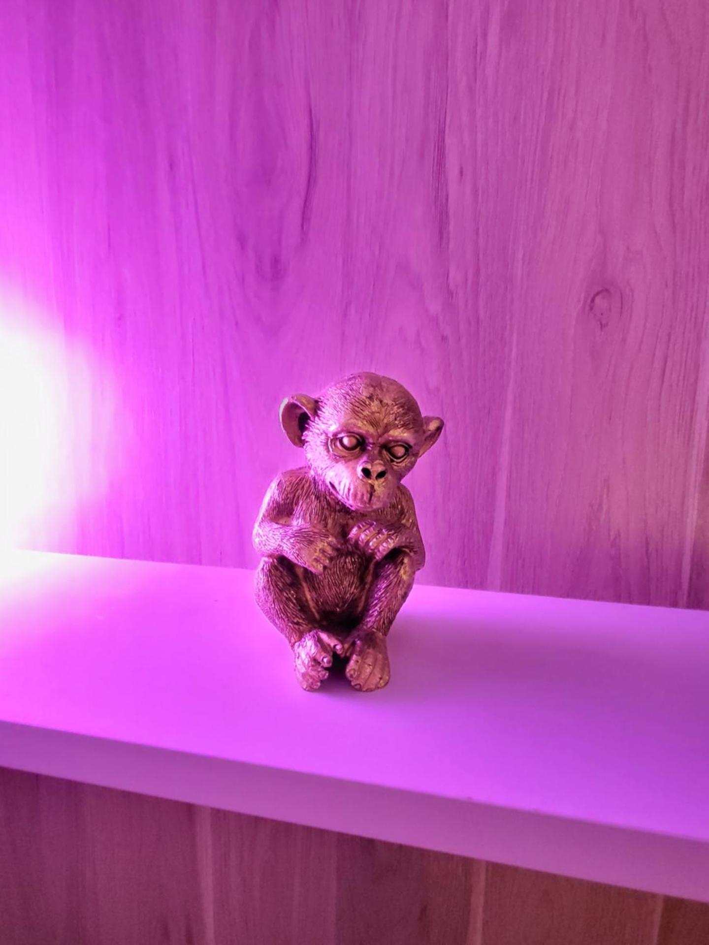 Appartement centre ville chic et cozy