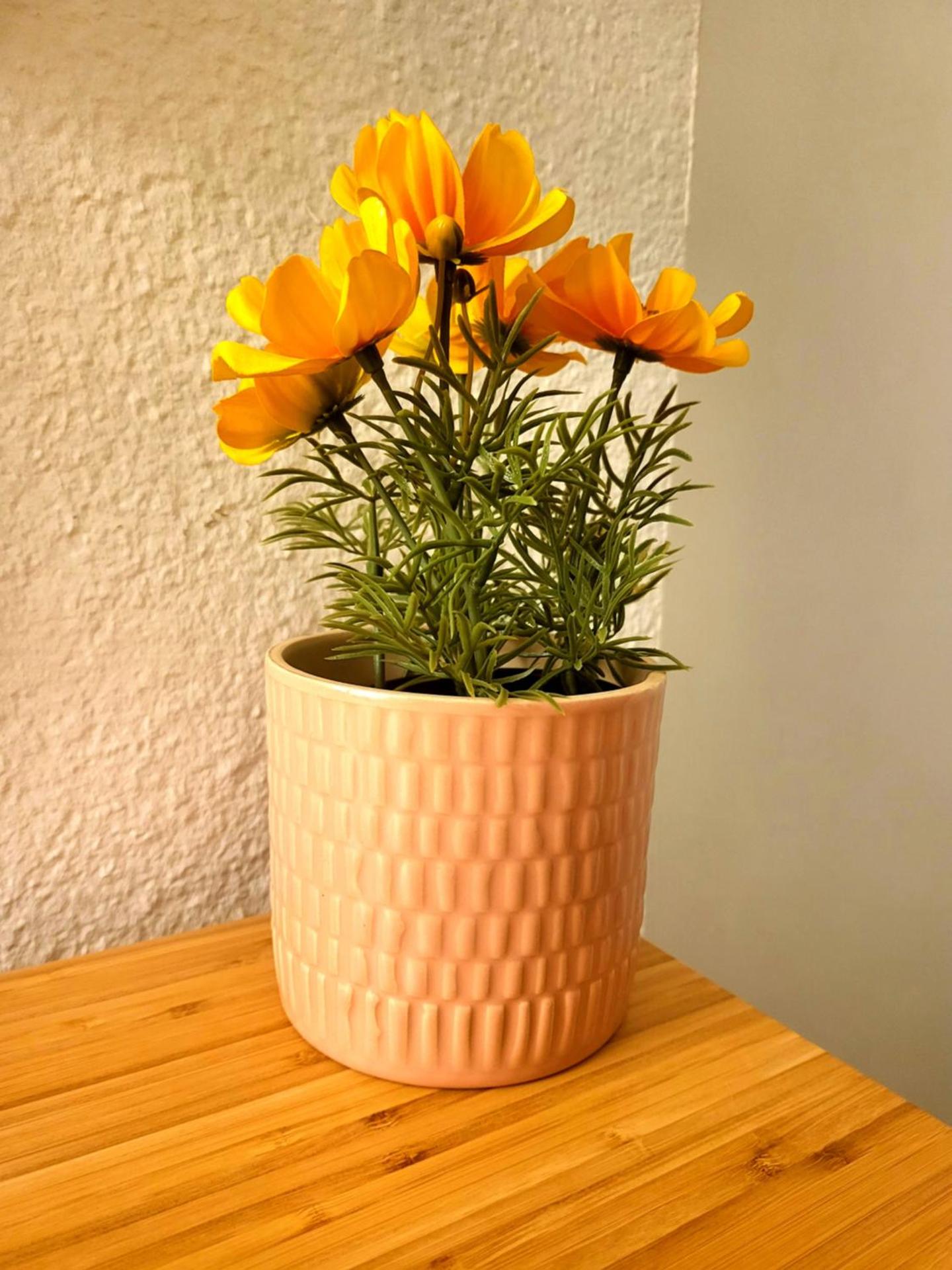 Appartement centre ville chic et cozy