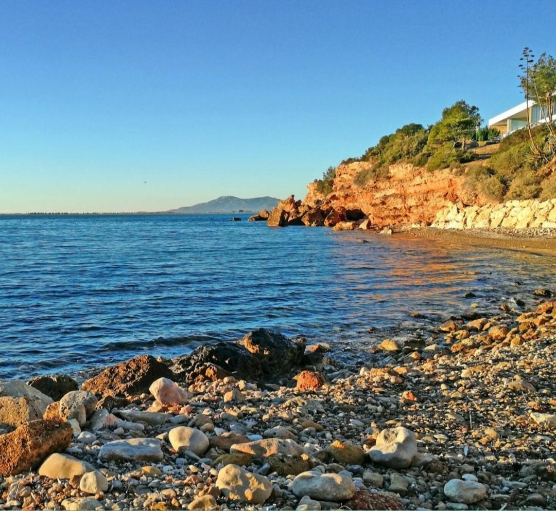 ARRELS TERRA - Apartament