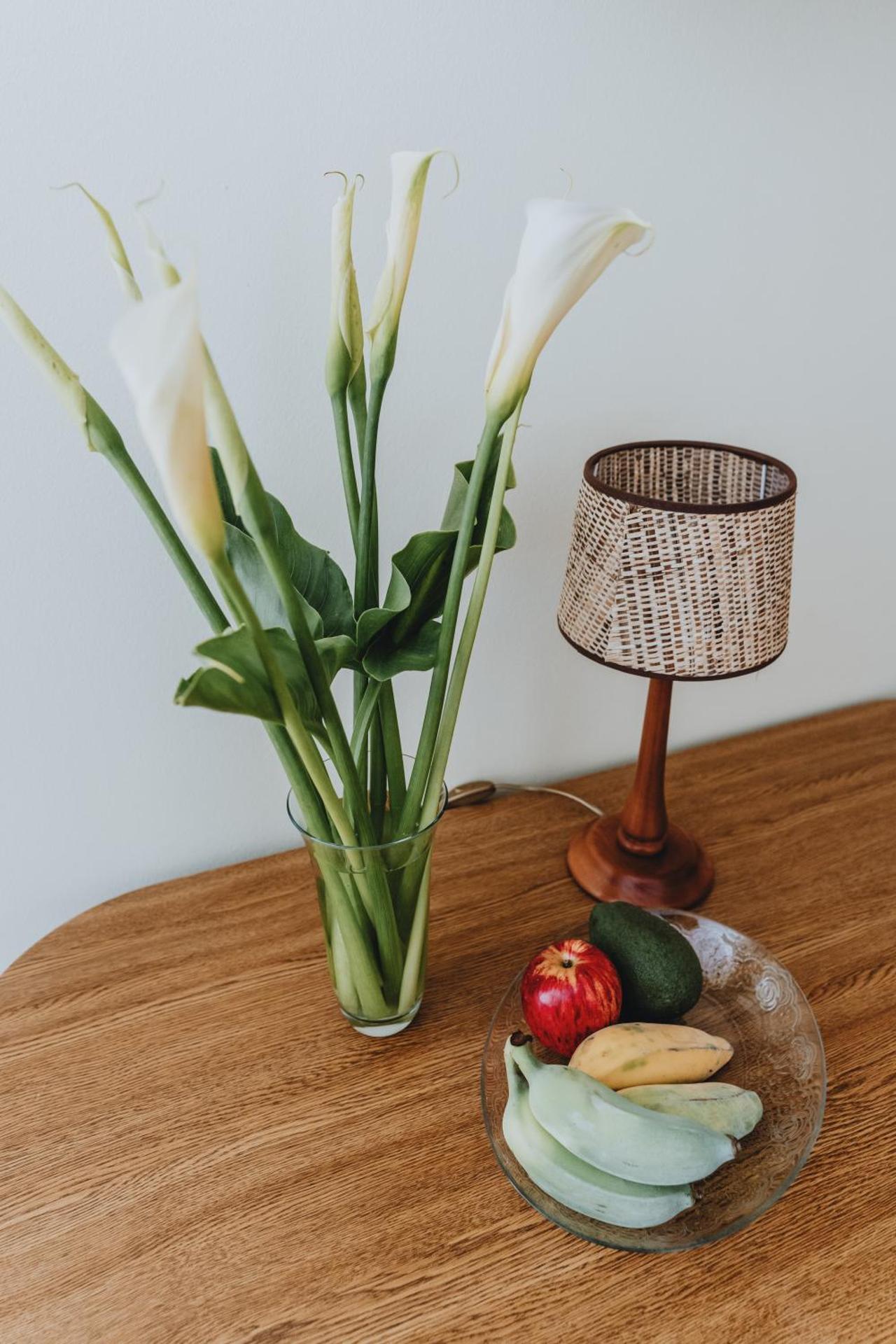 Casa Branca Apartments by Wanderlust Madeira, vacation rentals