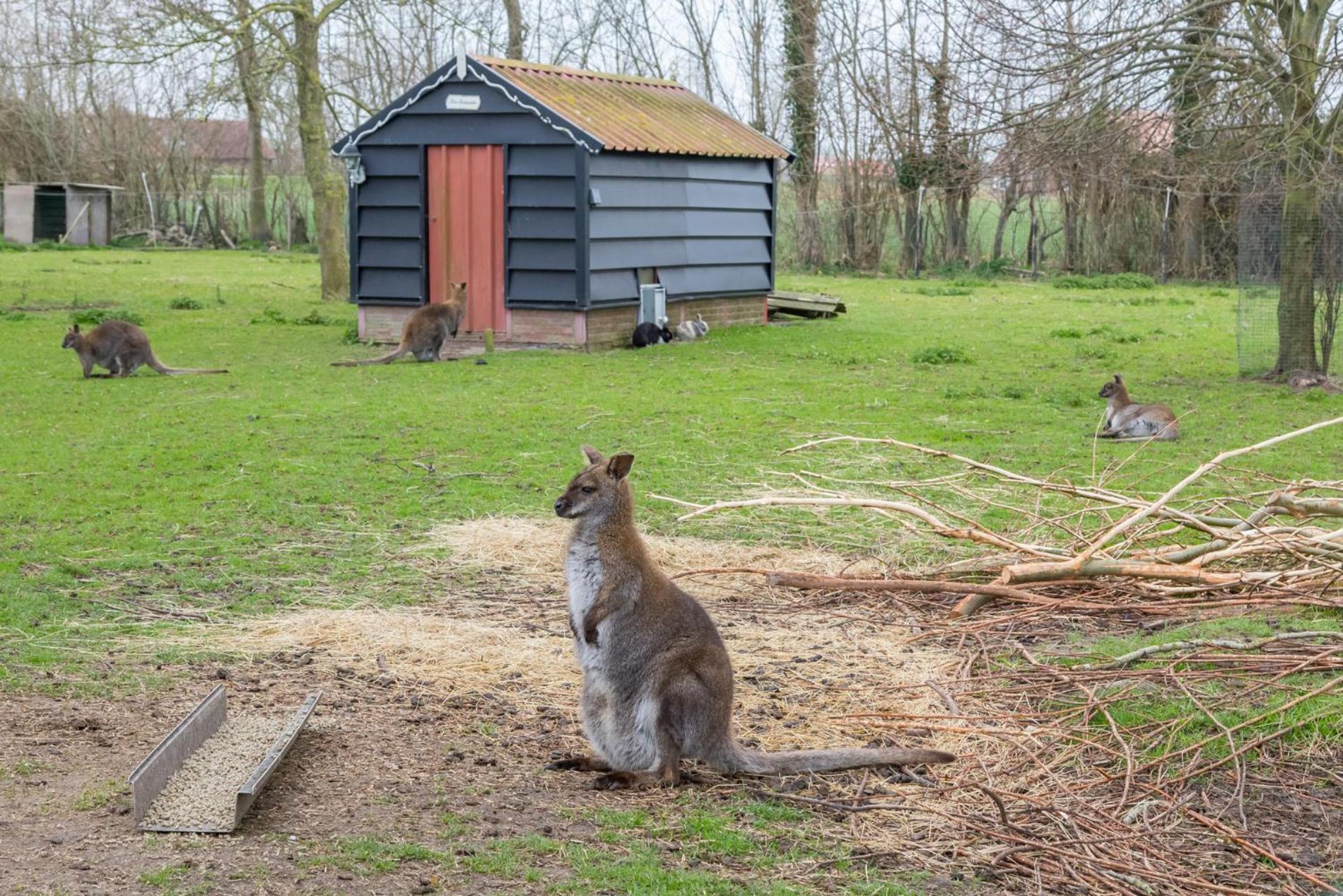 Welcome in - Appartement op de BG, Rustig gelegen met terras